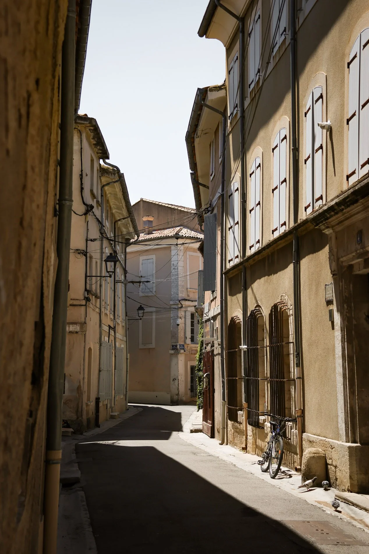 isle sur la sorgue - carnet sauvage-10.jpg