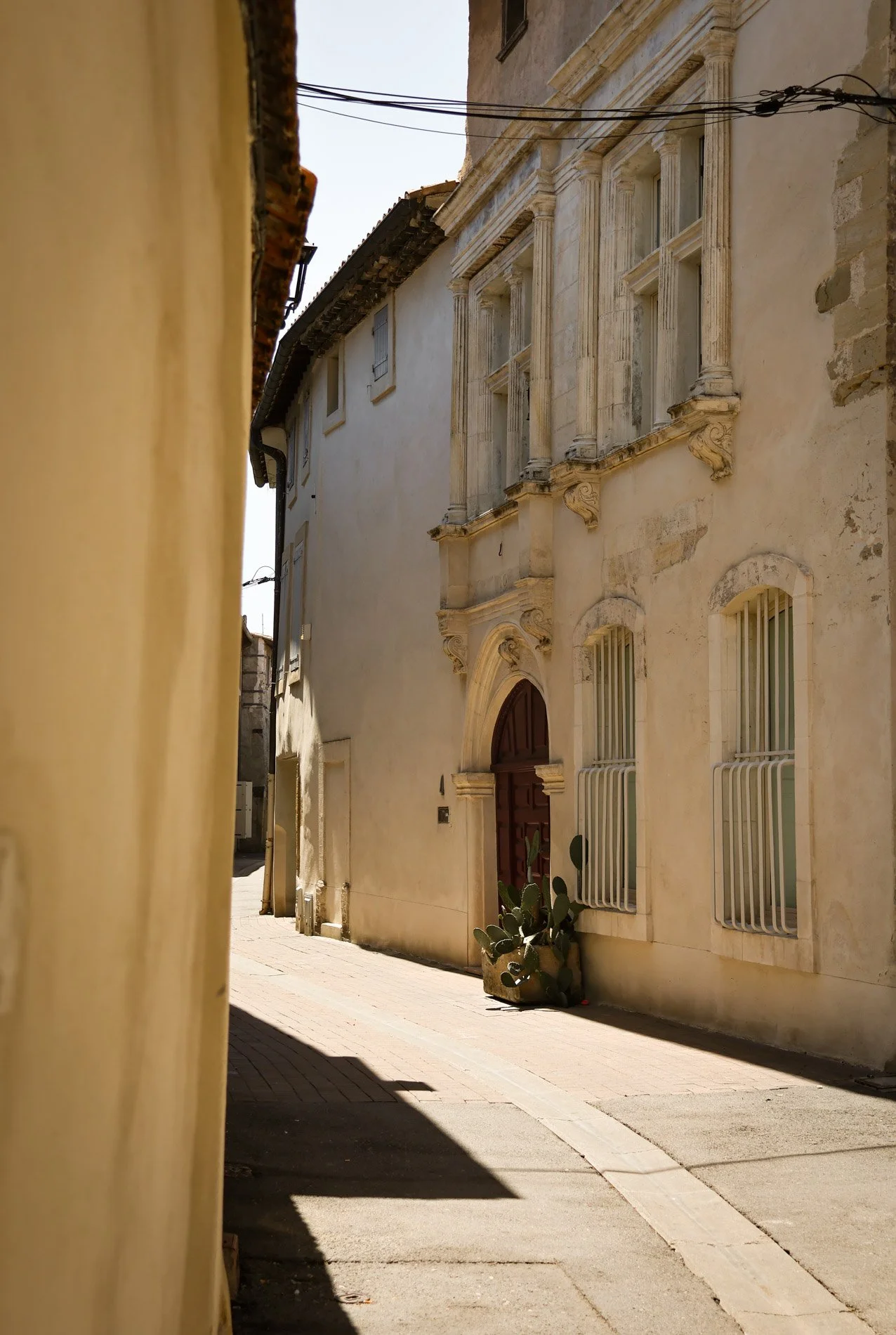 isle sur la sorgue - carnet sauvage-7.jpg