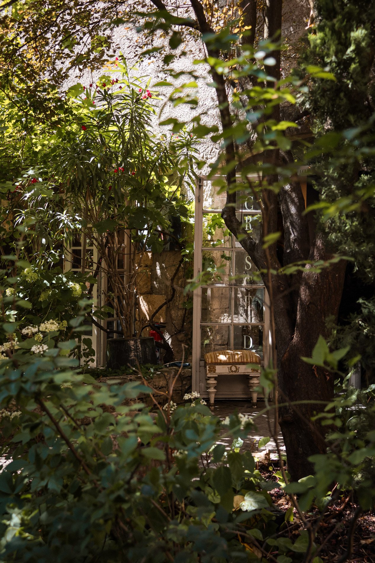 isle sur la sorgue - carnet sauvage-21.jpg