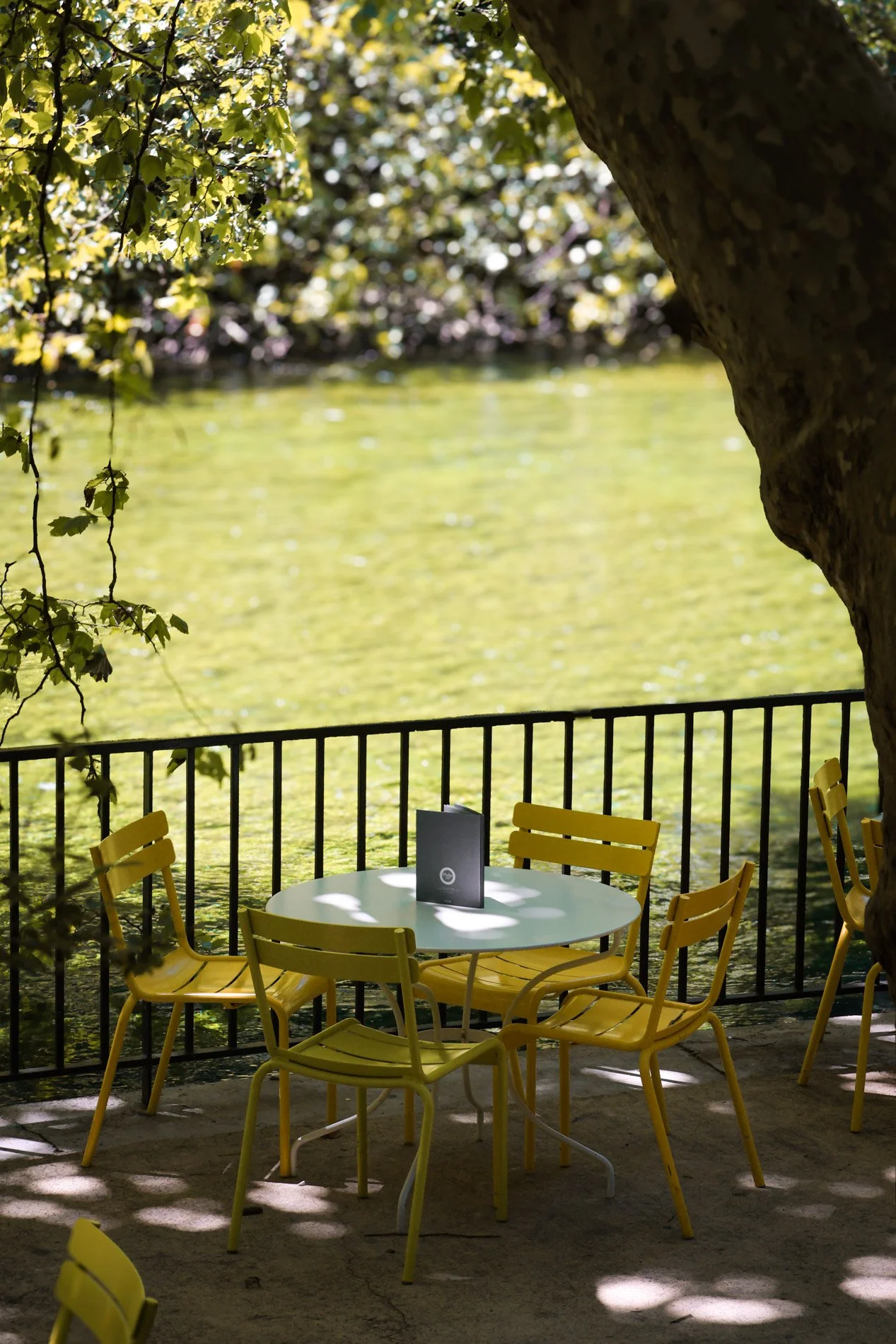 fontaine de vaucluse - carnet sauvage-3.jpg