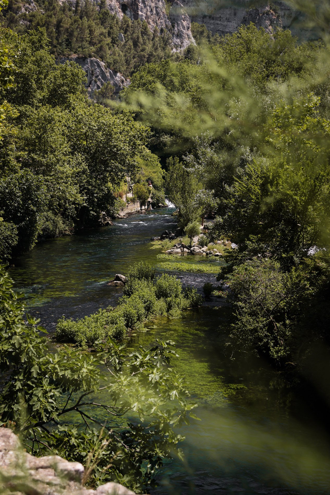 fontaine de vaucluse - carnet sauvage-12.jpg