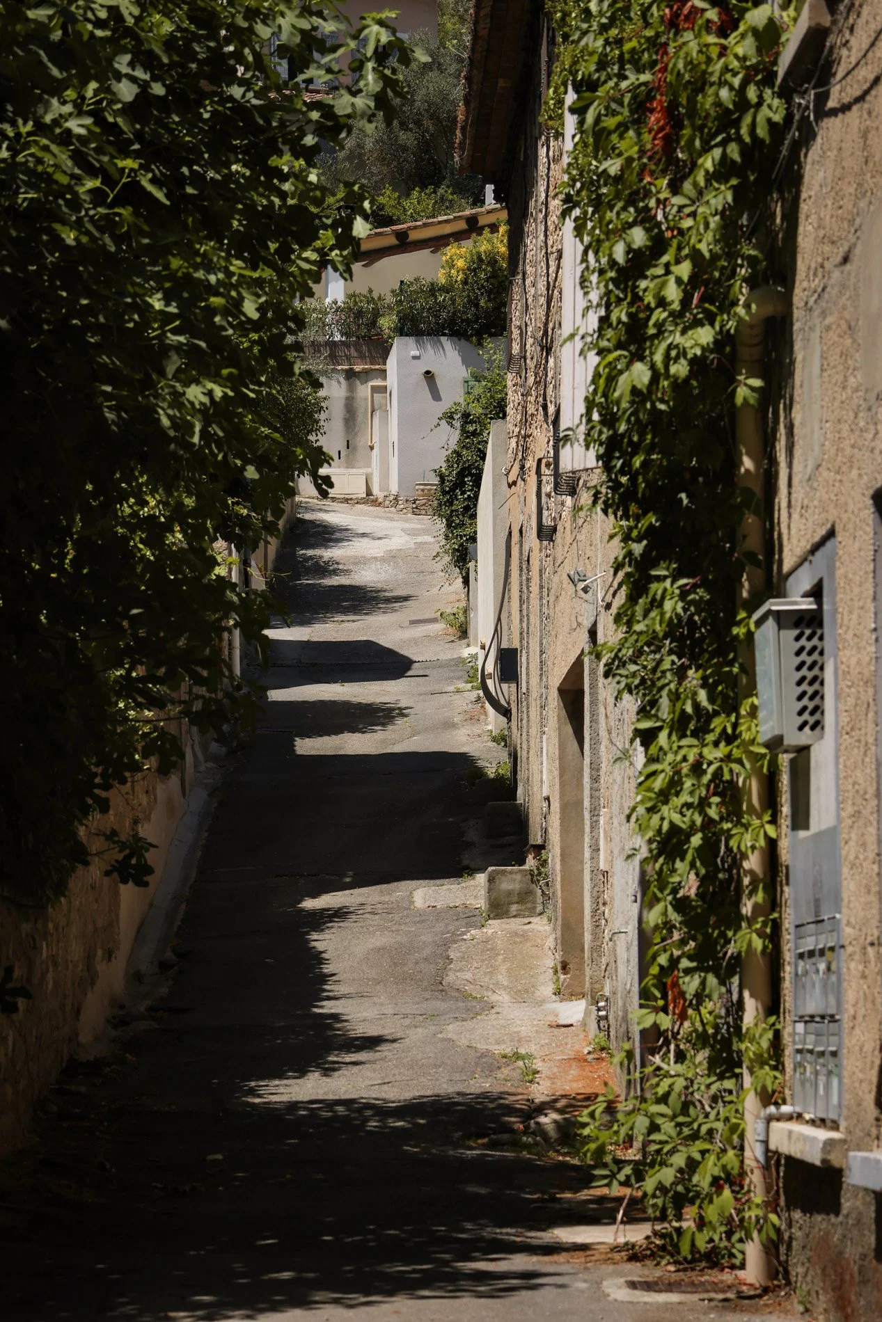 fontaine de vaucluse - carnet sauvage-14.jpg