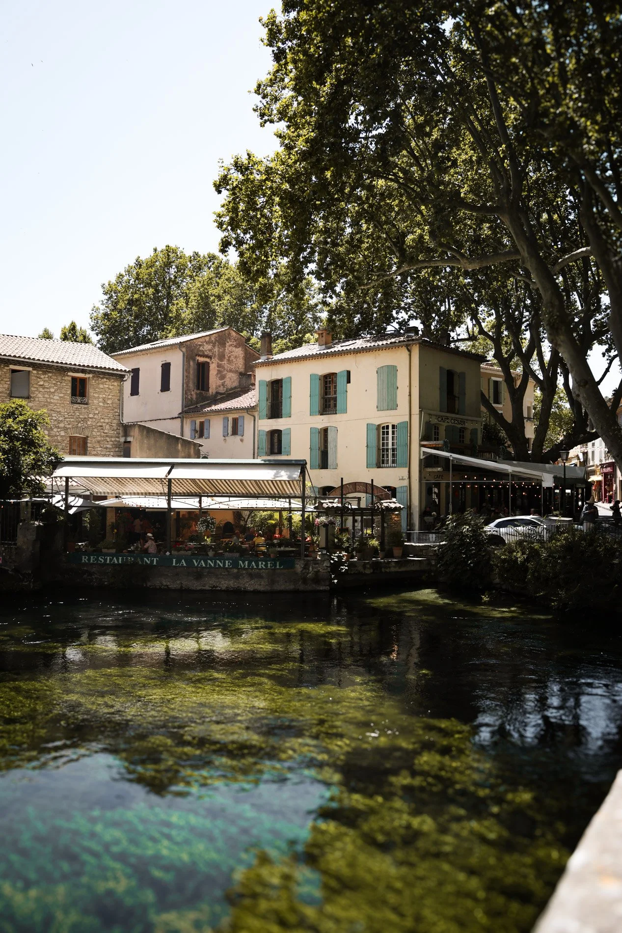 fontaine de vaucluse - carnet sauvage.jpg