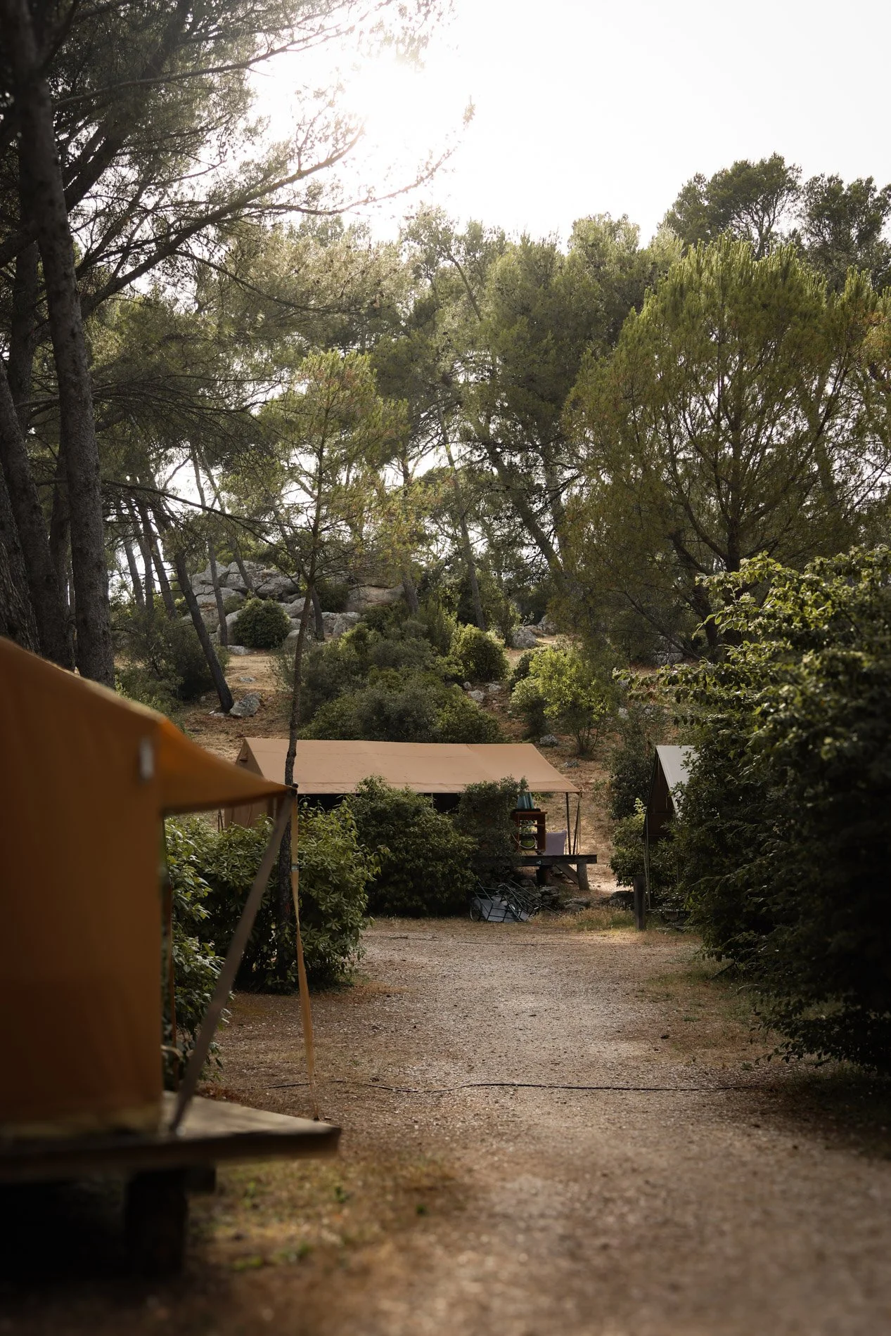 CAMPING  - carnet sauvage-2.jpg