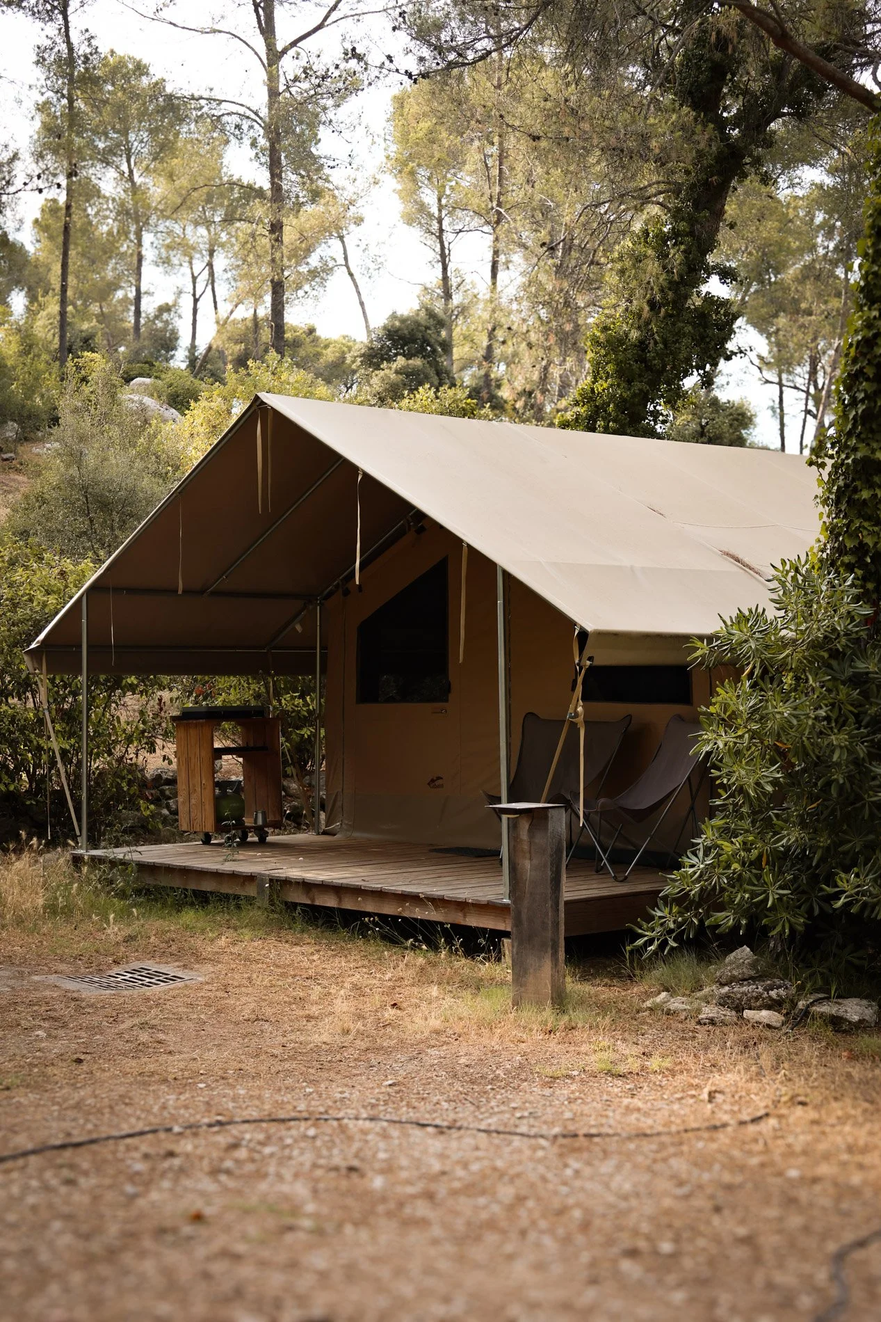 CAMPING  - carnet sauvage.jpg