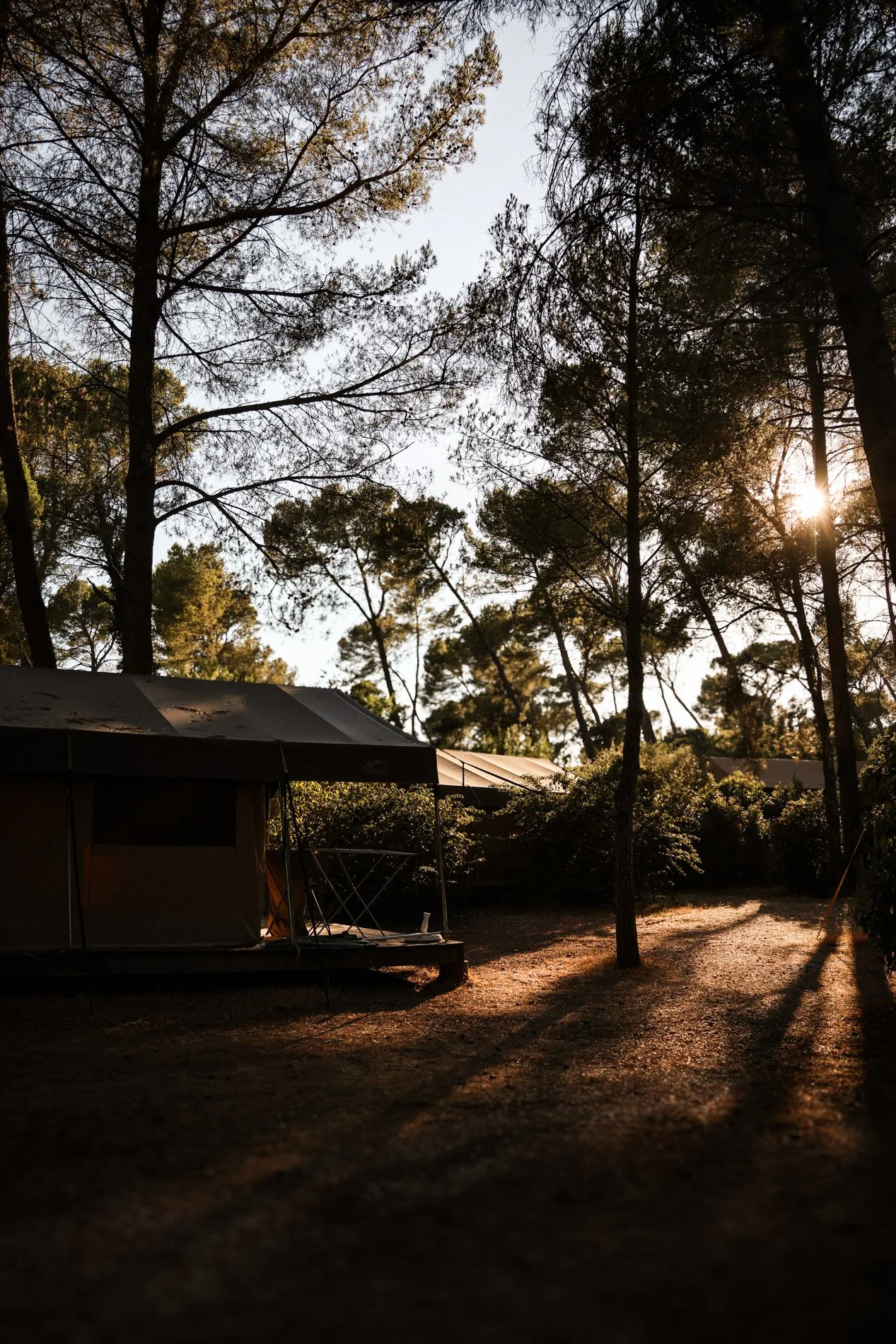 la provence - carnet sauvage-28.jpg