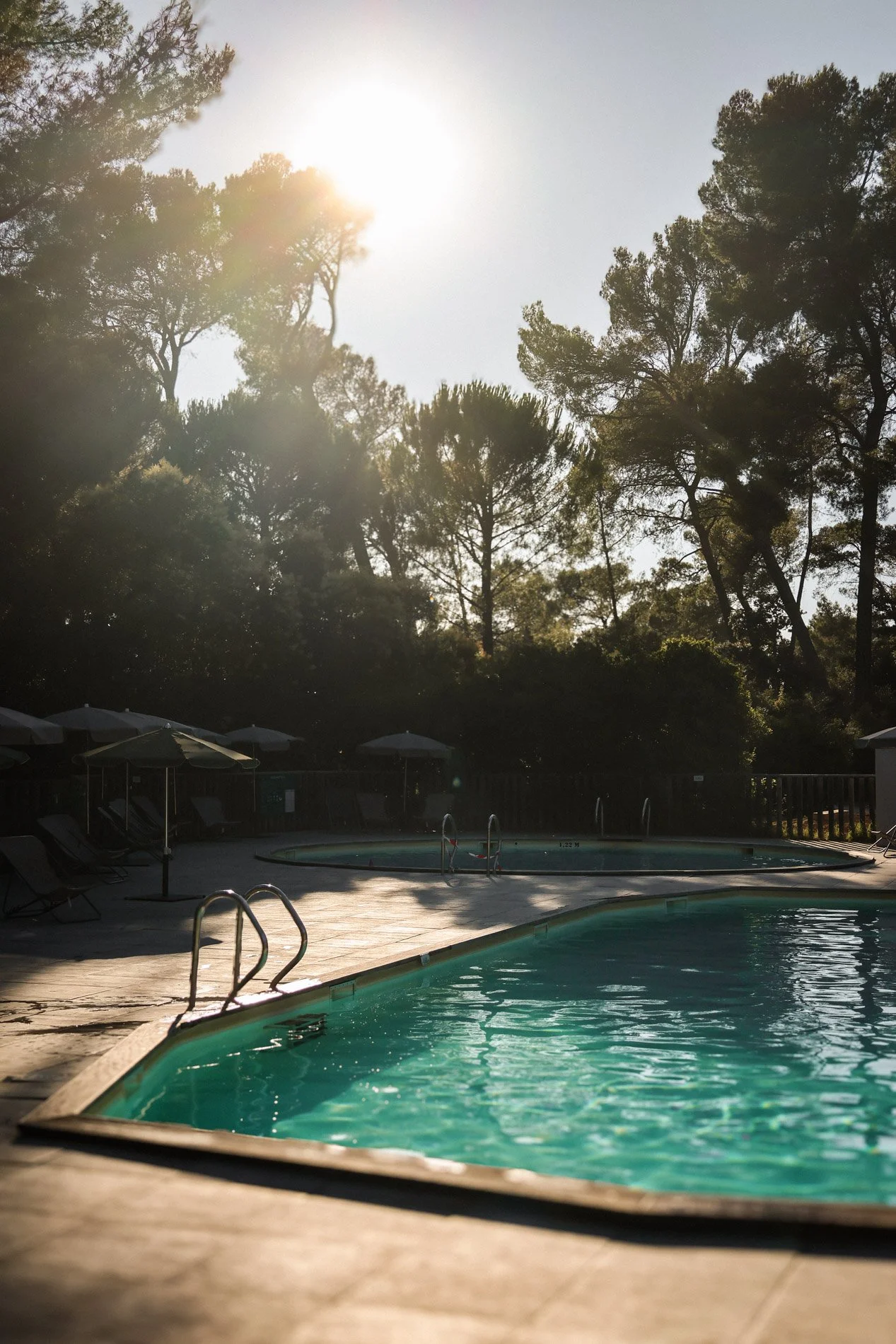 la provence - carnet sauvage-30.jpg