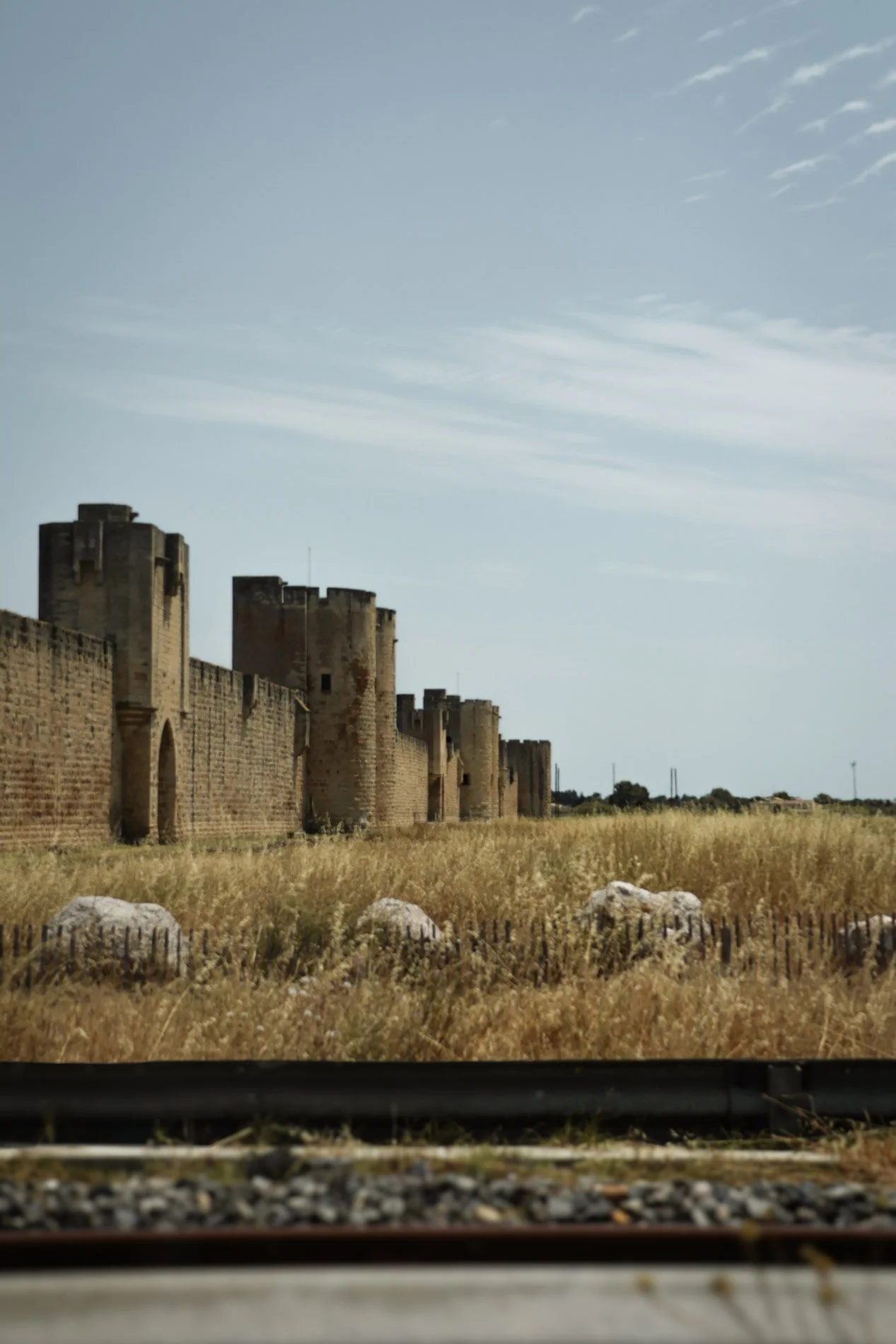 camargue - carnet sauvage-2.jpg