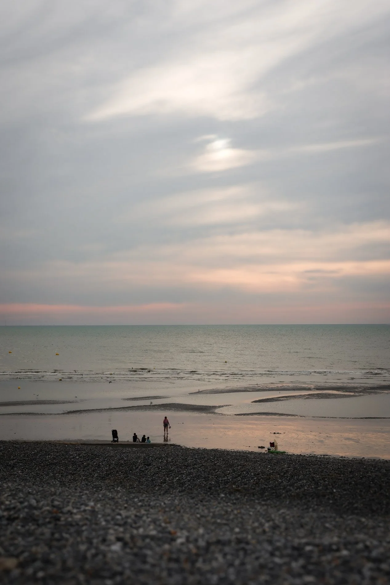 BAIE DE SOMME  - carnet sauvage-56.jpg