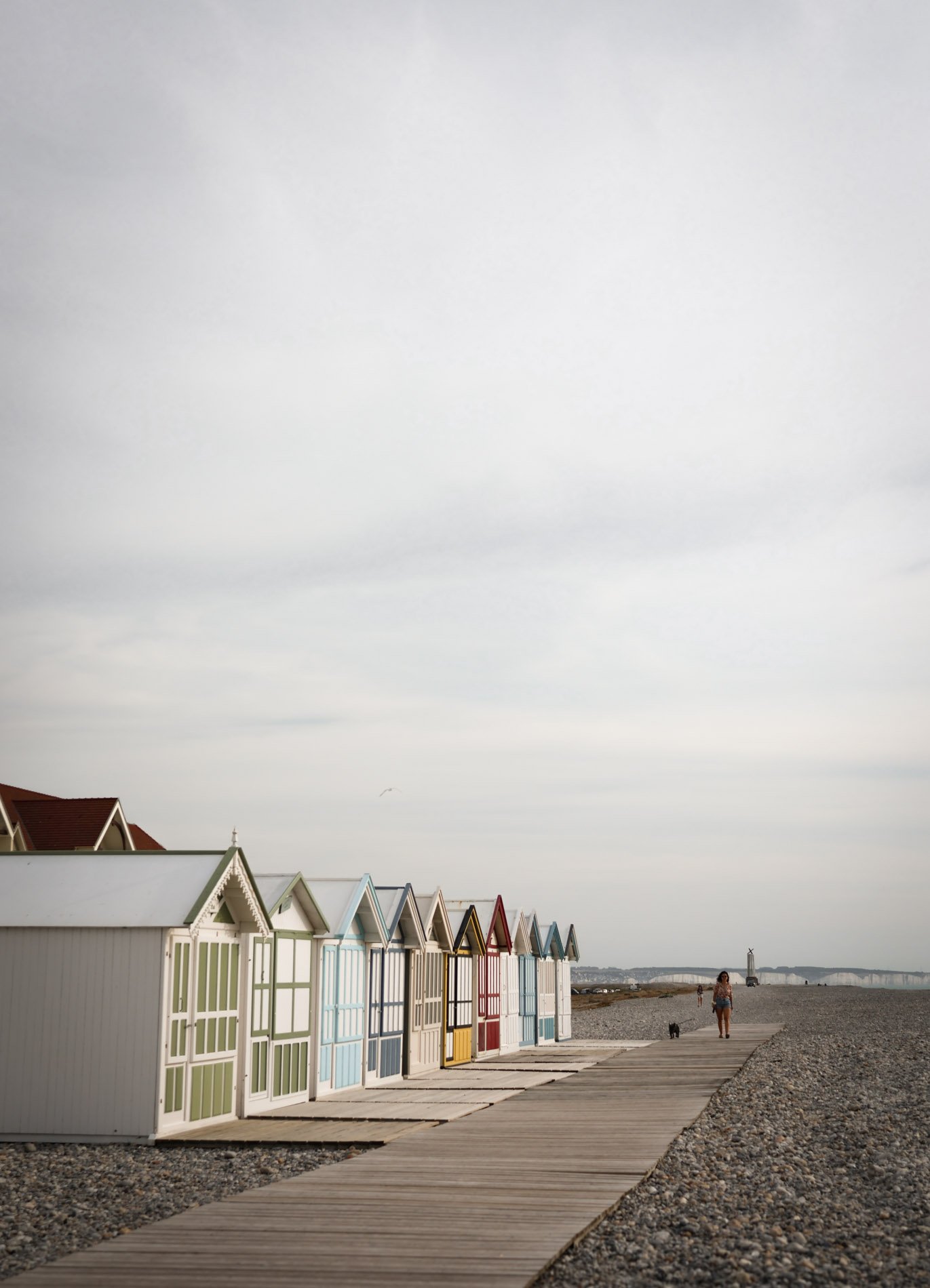 BAIE DE SOMME  - carnet sauvage-29-2.jpg