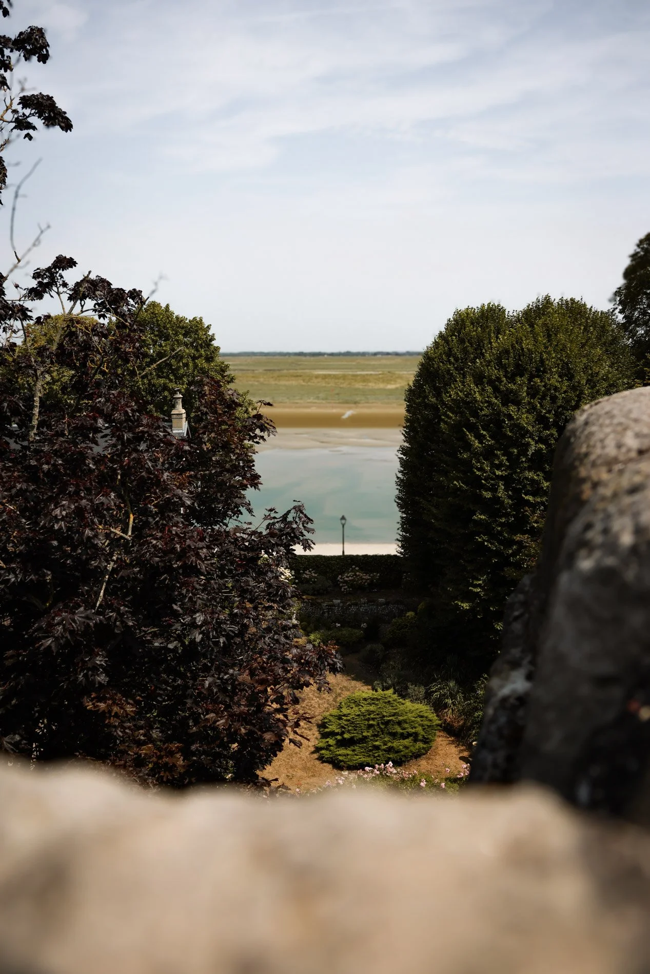 BAIE DE SOMME  - carnet sauvage-29.jpg