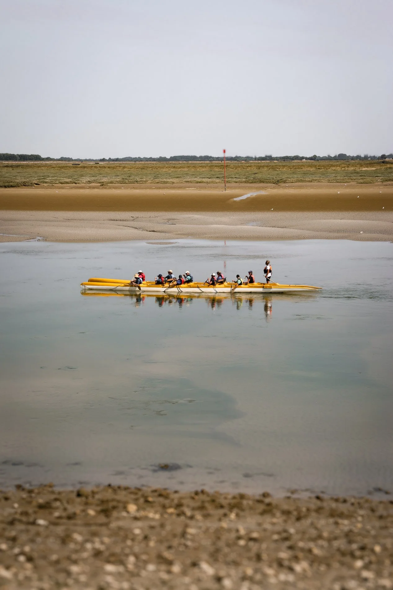 BAIE DE SOMME  - carnet sauvage-34.jpg