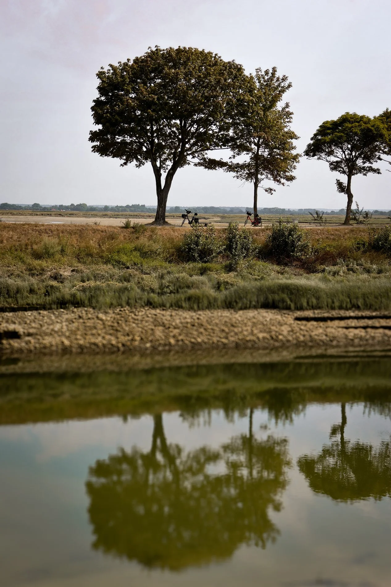 BAIE DE SOMME  - carnet sauvage-36.jpg