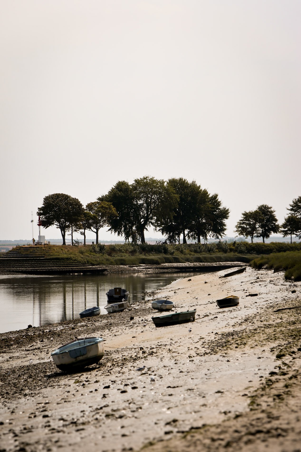 BAIE DE SOMME  - carnet sauvage-43.jpg