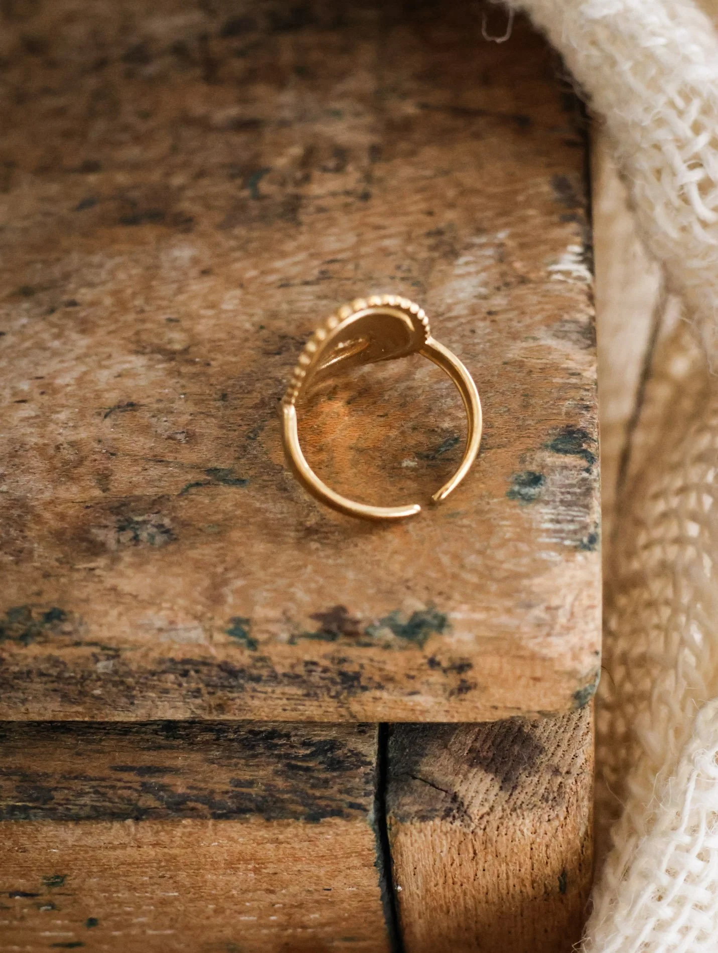 BIJOUX - carnet sauvage-39.jpg
