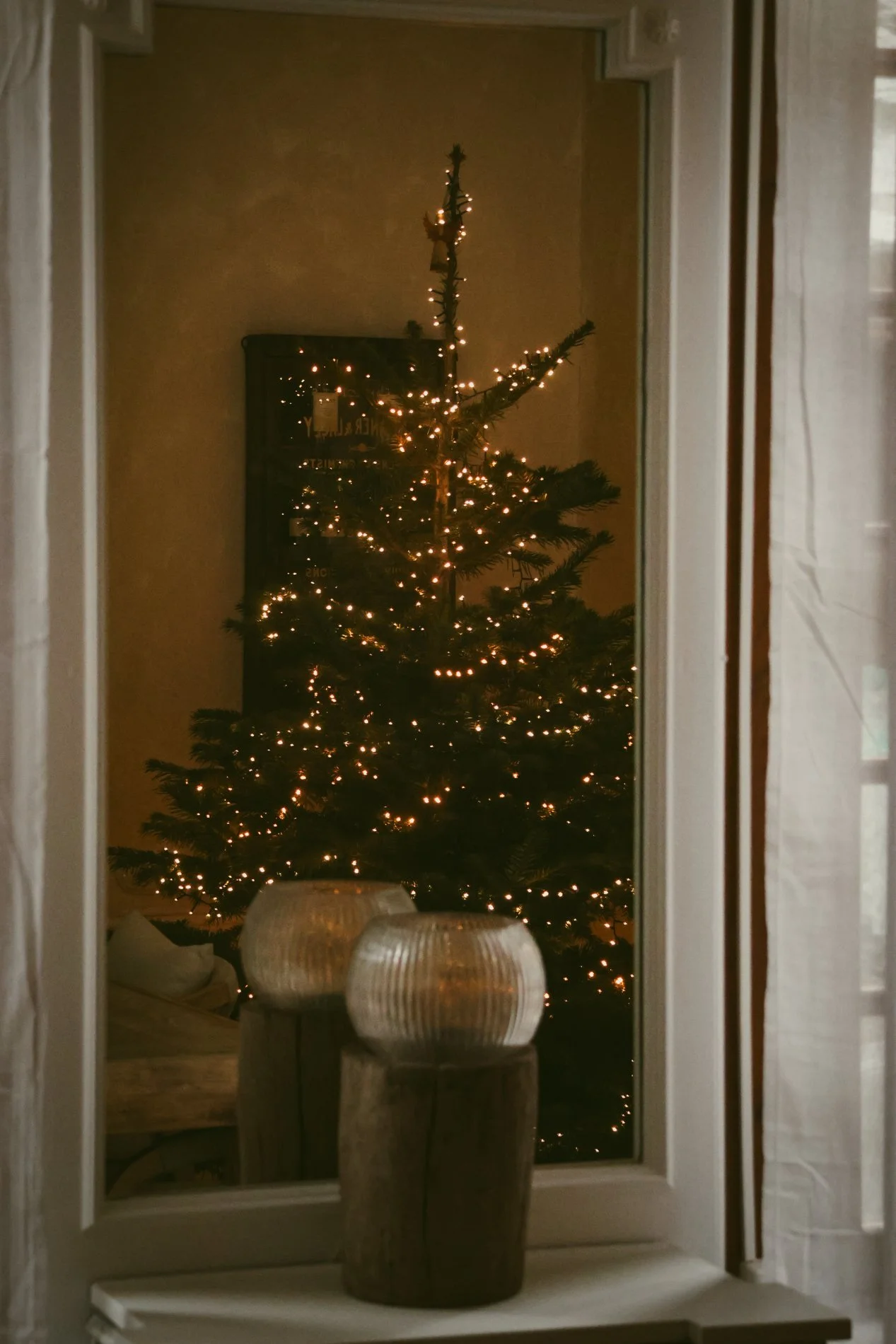 sapin noel -  CARNET SAUVAGE-23.JPG