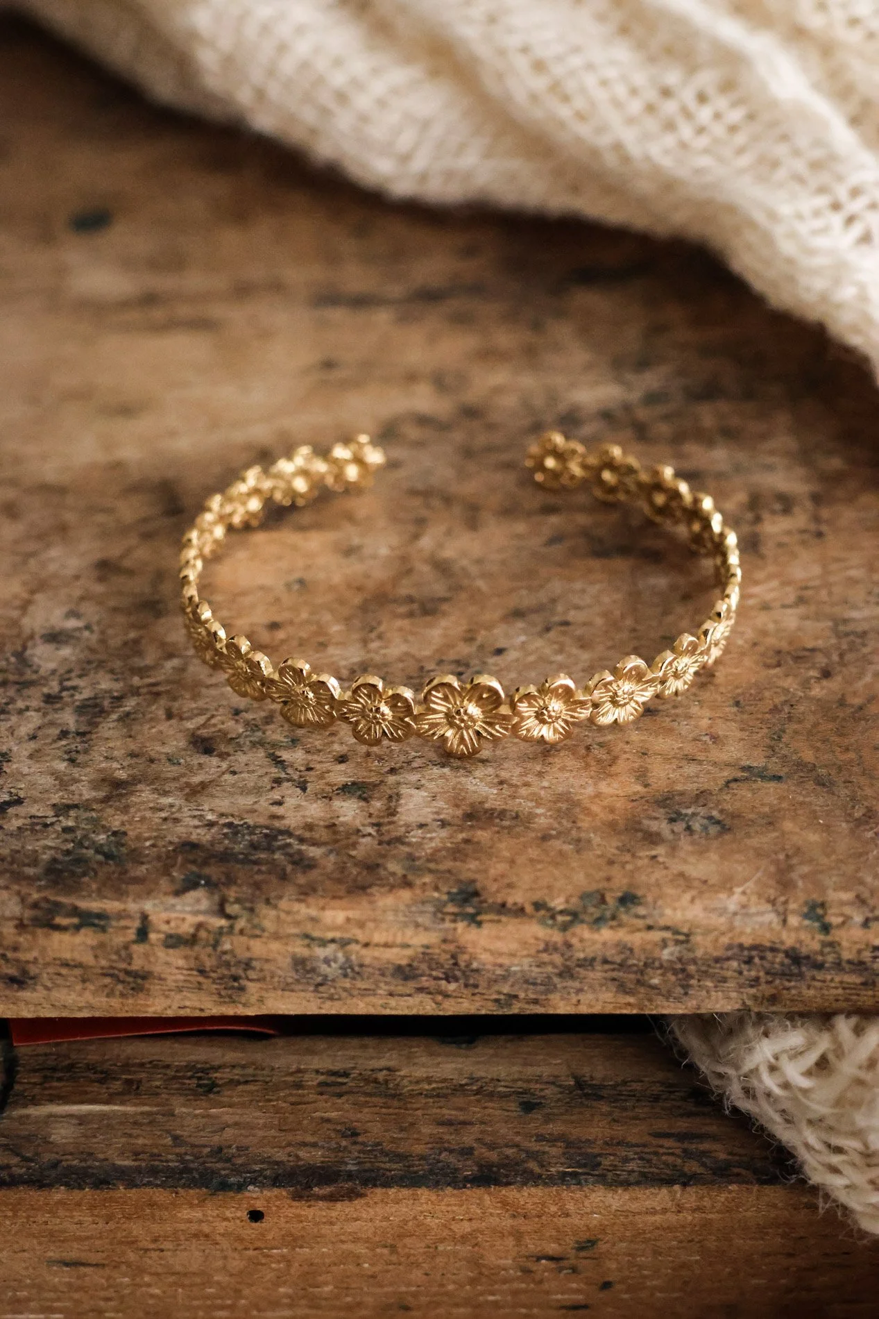 BIJOUX - carnet sauvage-61.jpg
