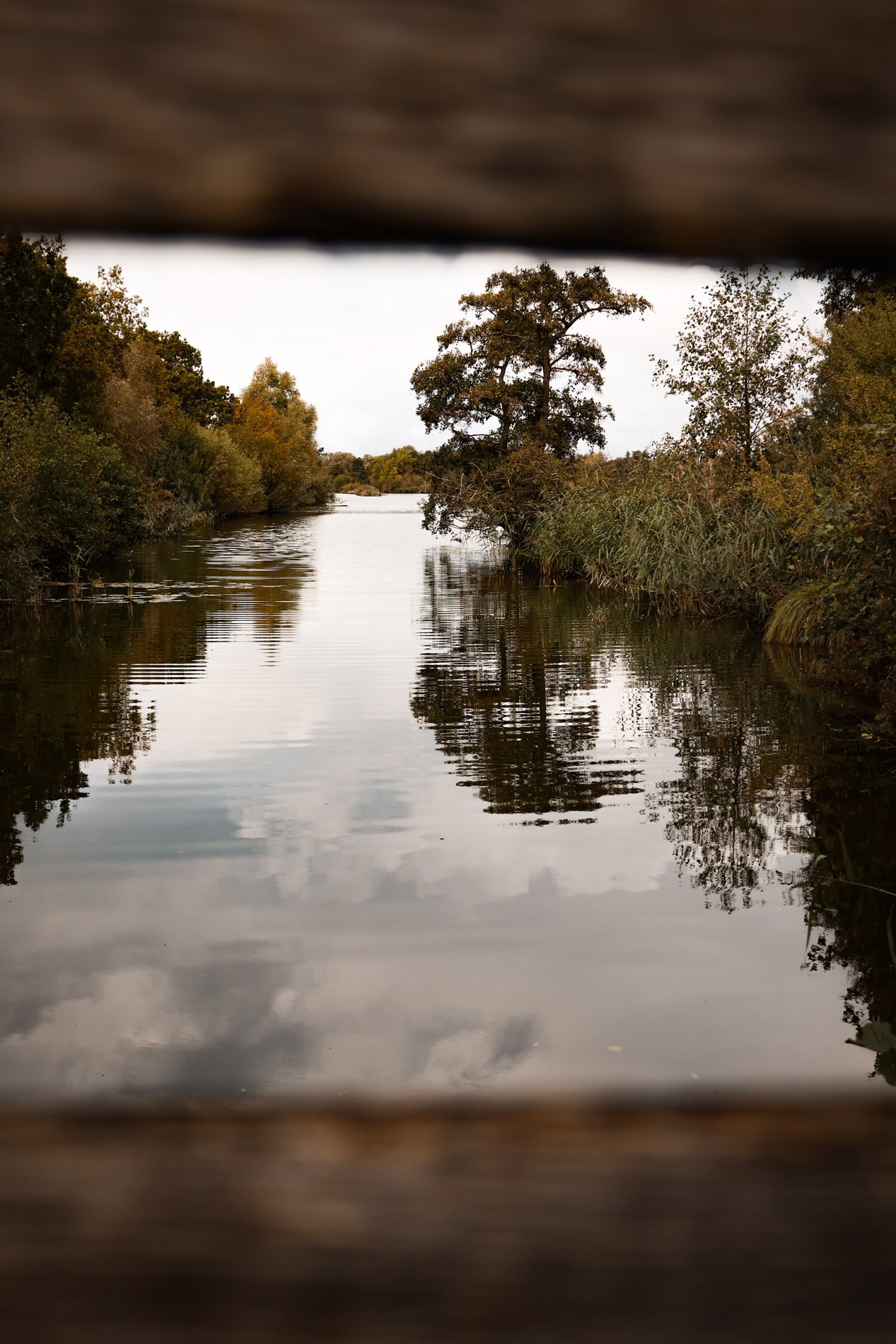 carnet sauvage-19.jpg