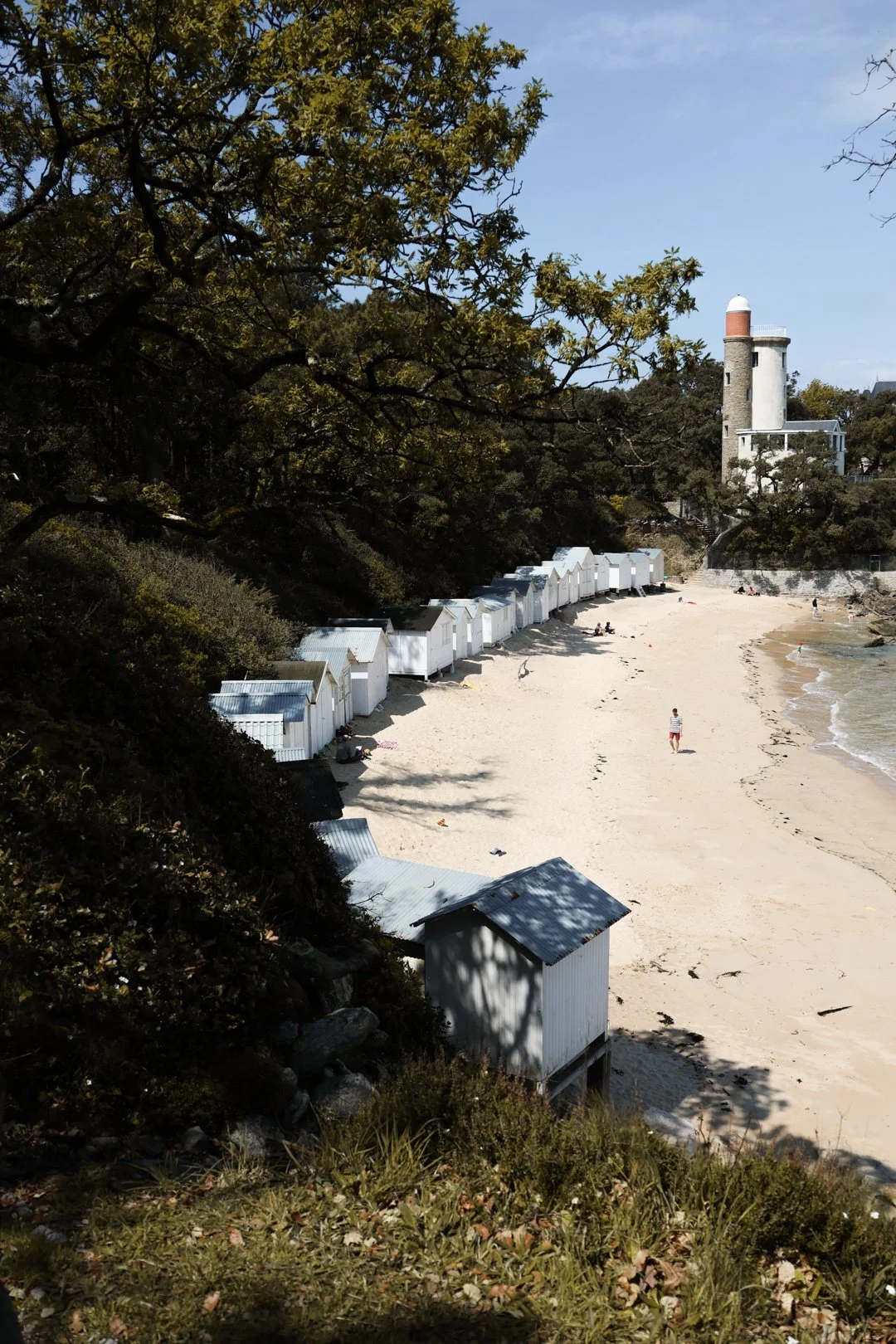 noirmoutier - carnet sauvage -50.JPG