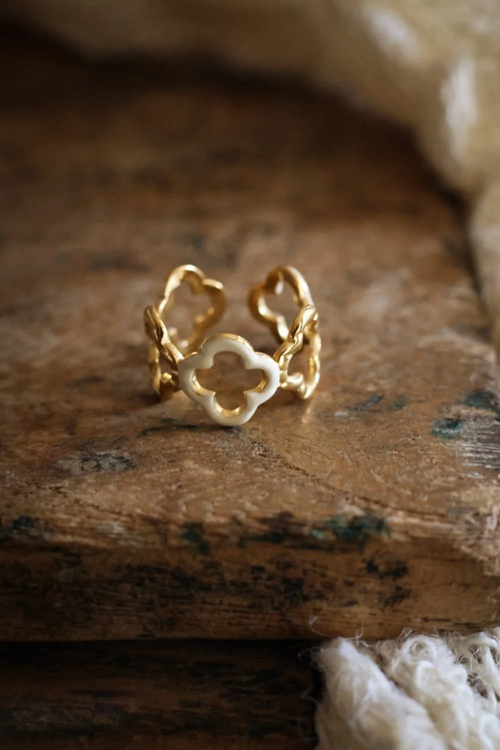 BIJOUX - carnet sauvage-014.jpg