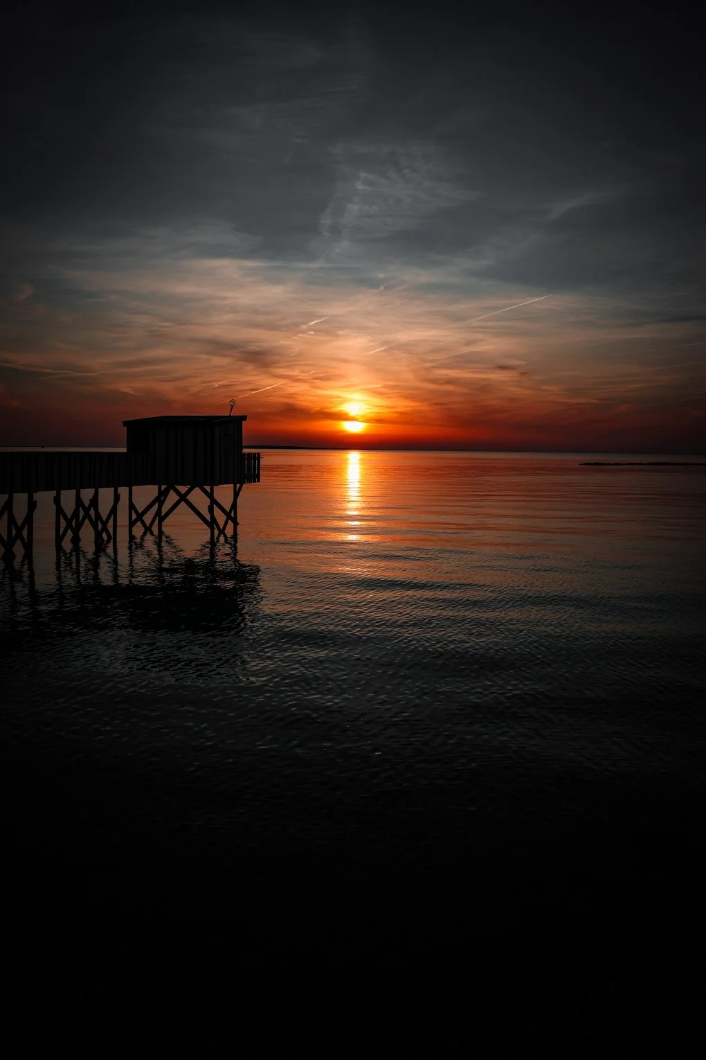 chatelaillon - carnet sauvage-24.JPG