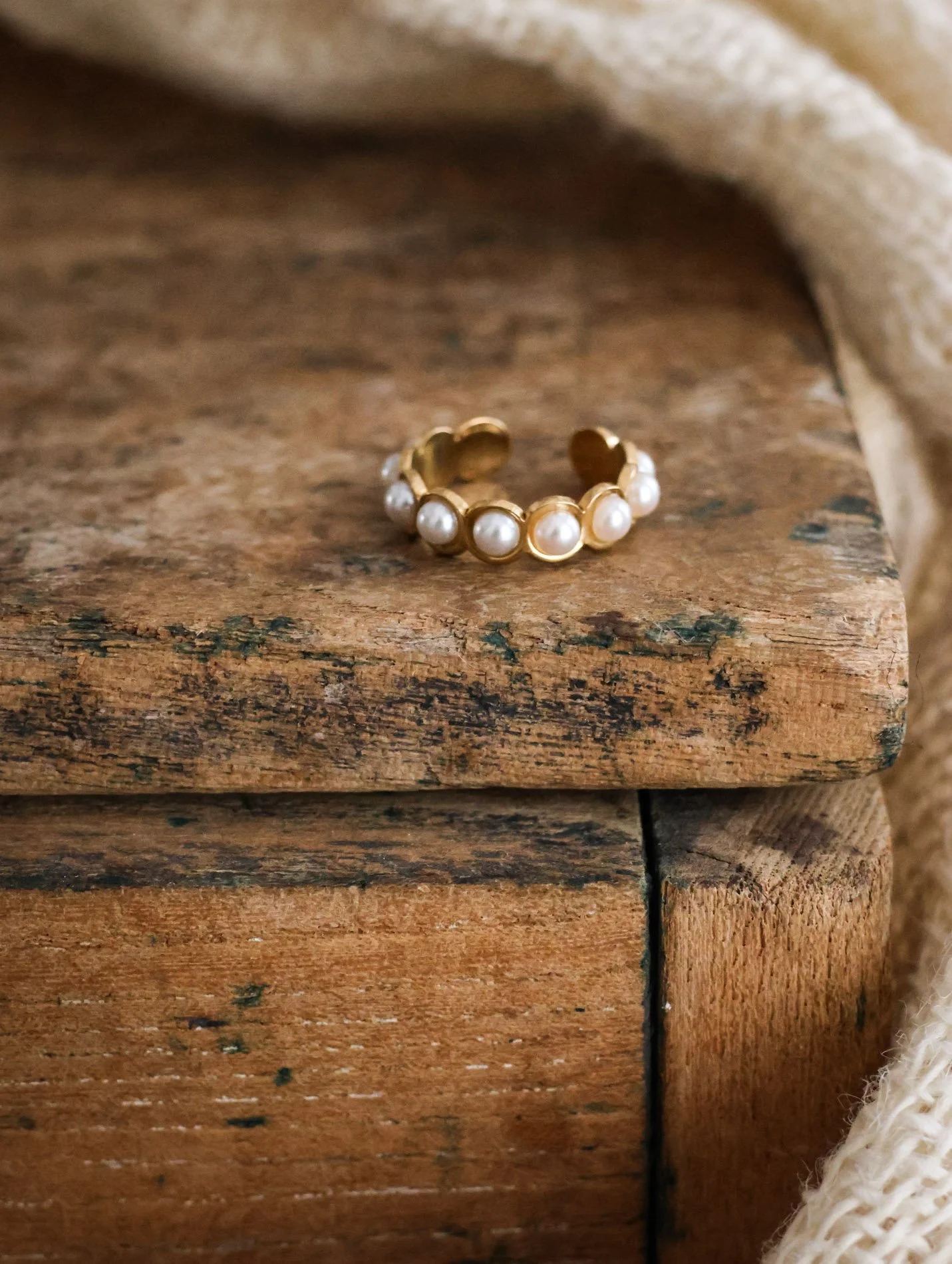 BIJOUX - carnet sauvage-38.jpg