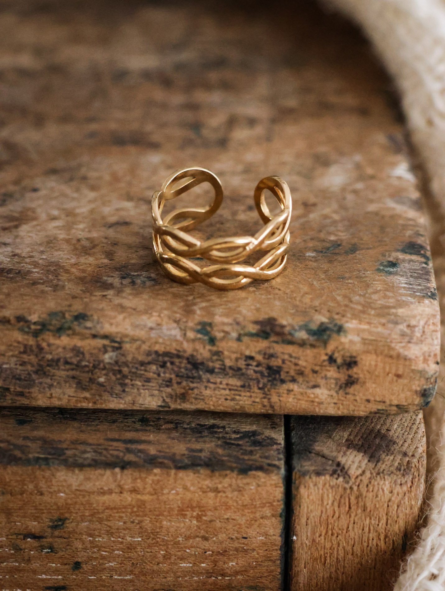 BIJOUX - carnet sauvage-52.jpg