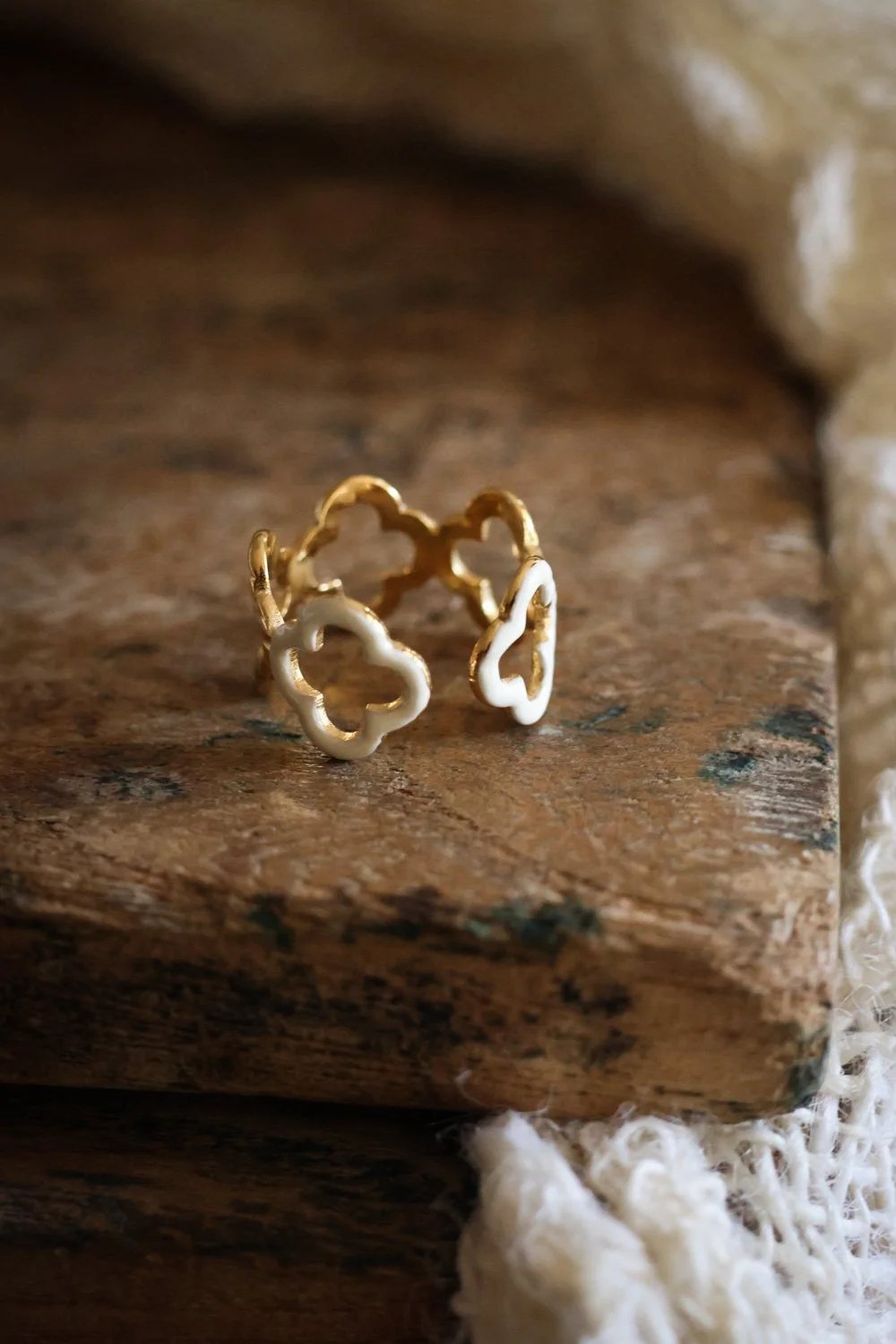 BIJOUX - carnet sauvage-011.jpg