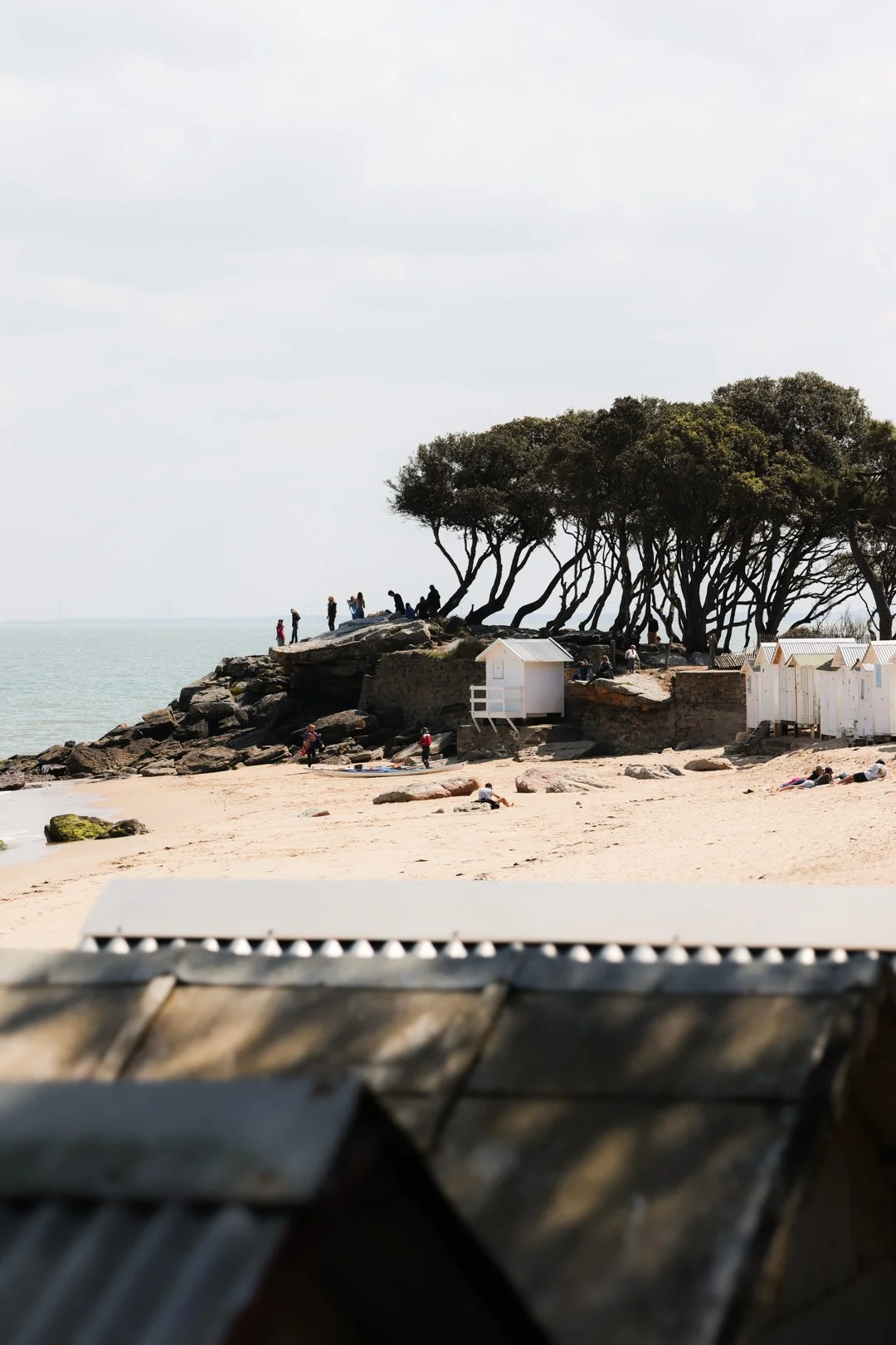 noirmoutier - carnet sauvage -32.JPG