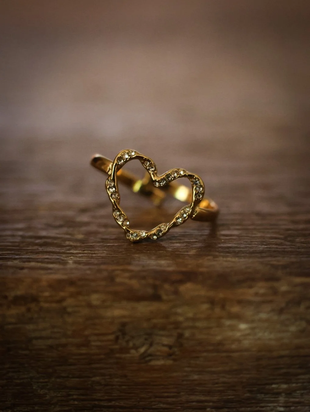 bague -  CARNET SAUVAGE-1.jpg