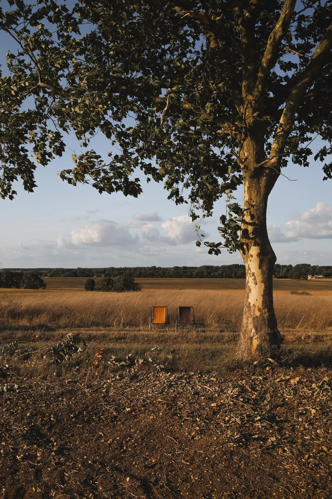 NATURE   - carnet sauvage_-5.JPG