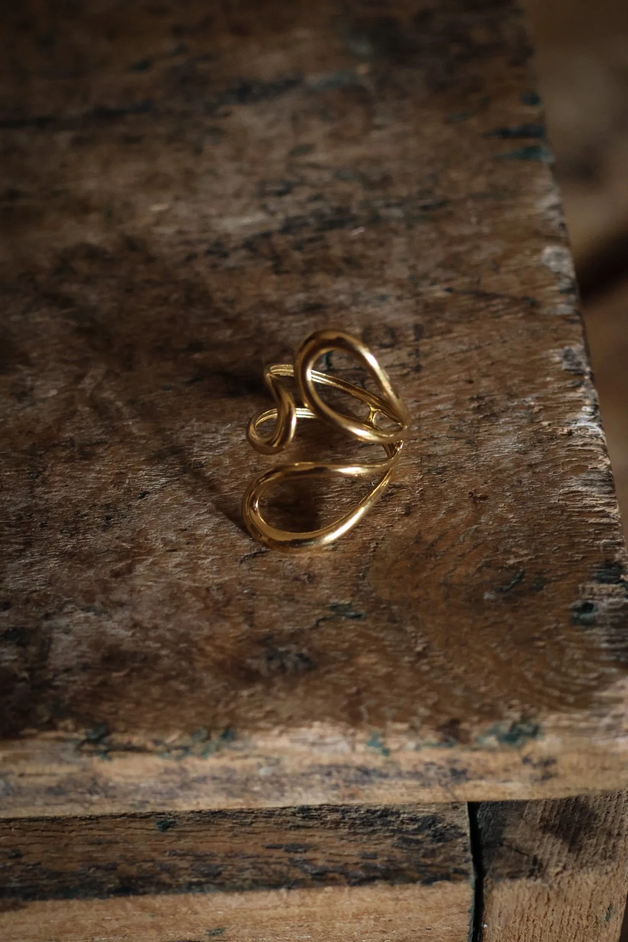 BAGUE  -  CARNET SAUVAGE-2.jpg