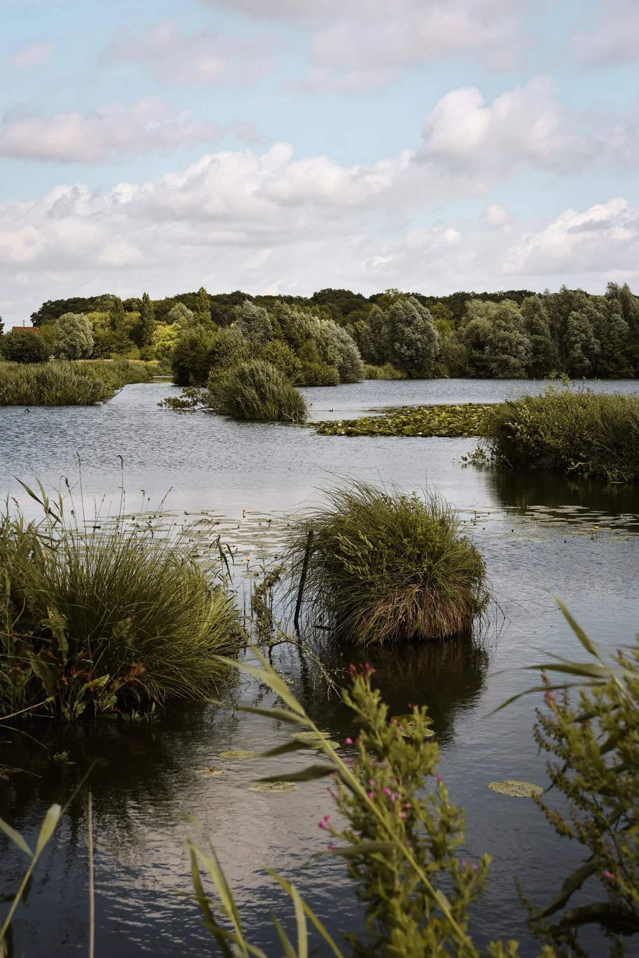 Le marais audomarois - carnet sauvage