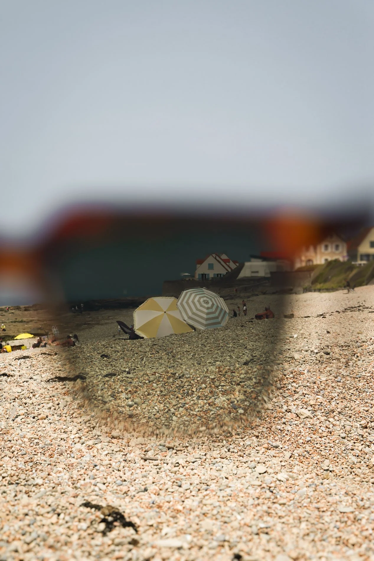 cote d'opale  - carnet sauvage-29.jpg