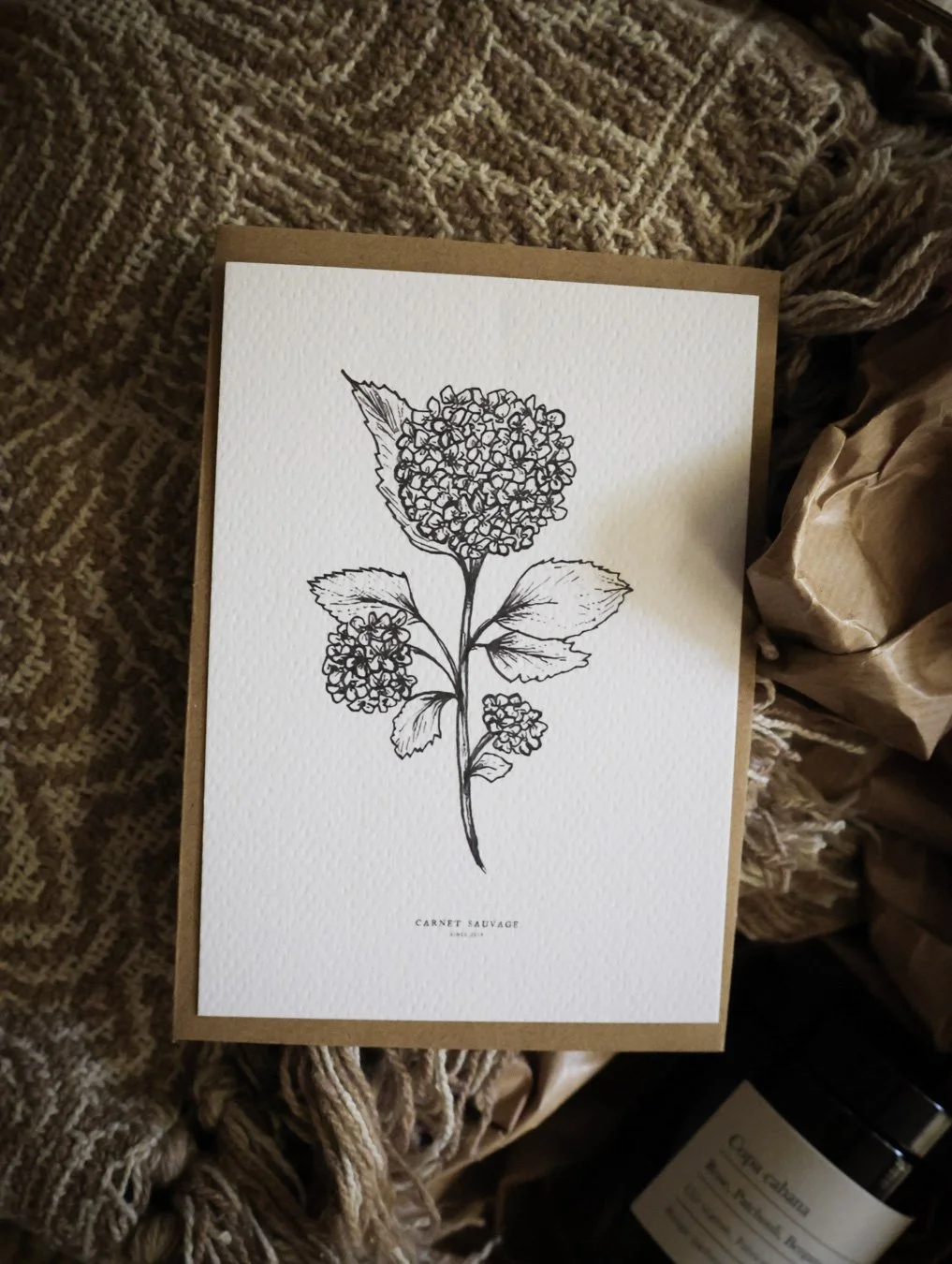 coffrets cadeaux - CARNET SAUVAGE-65.jpg