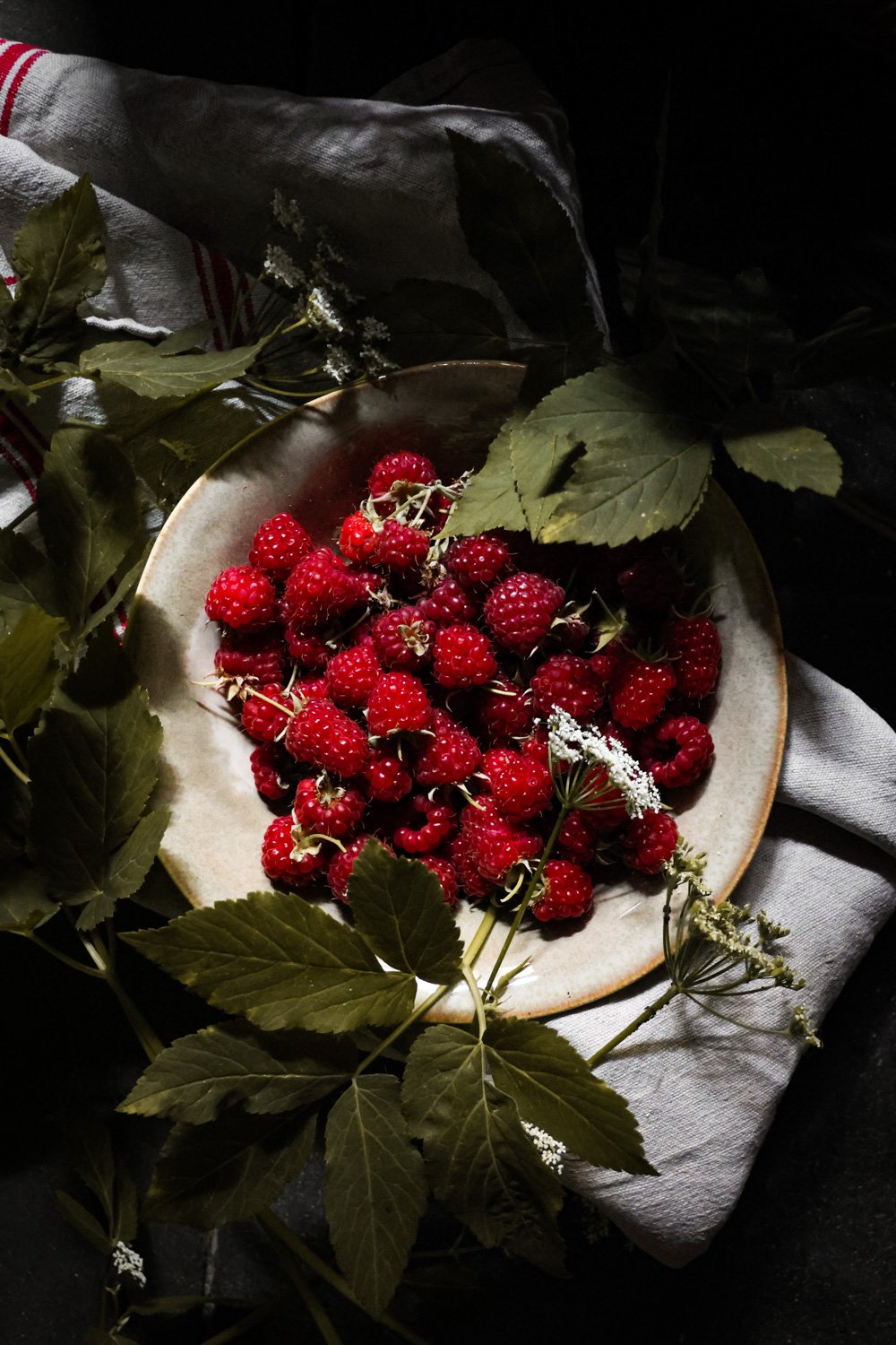 FOOD STYLING   carnet sauvage-8.jpg