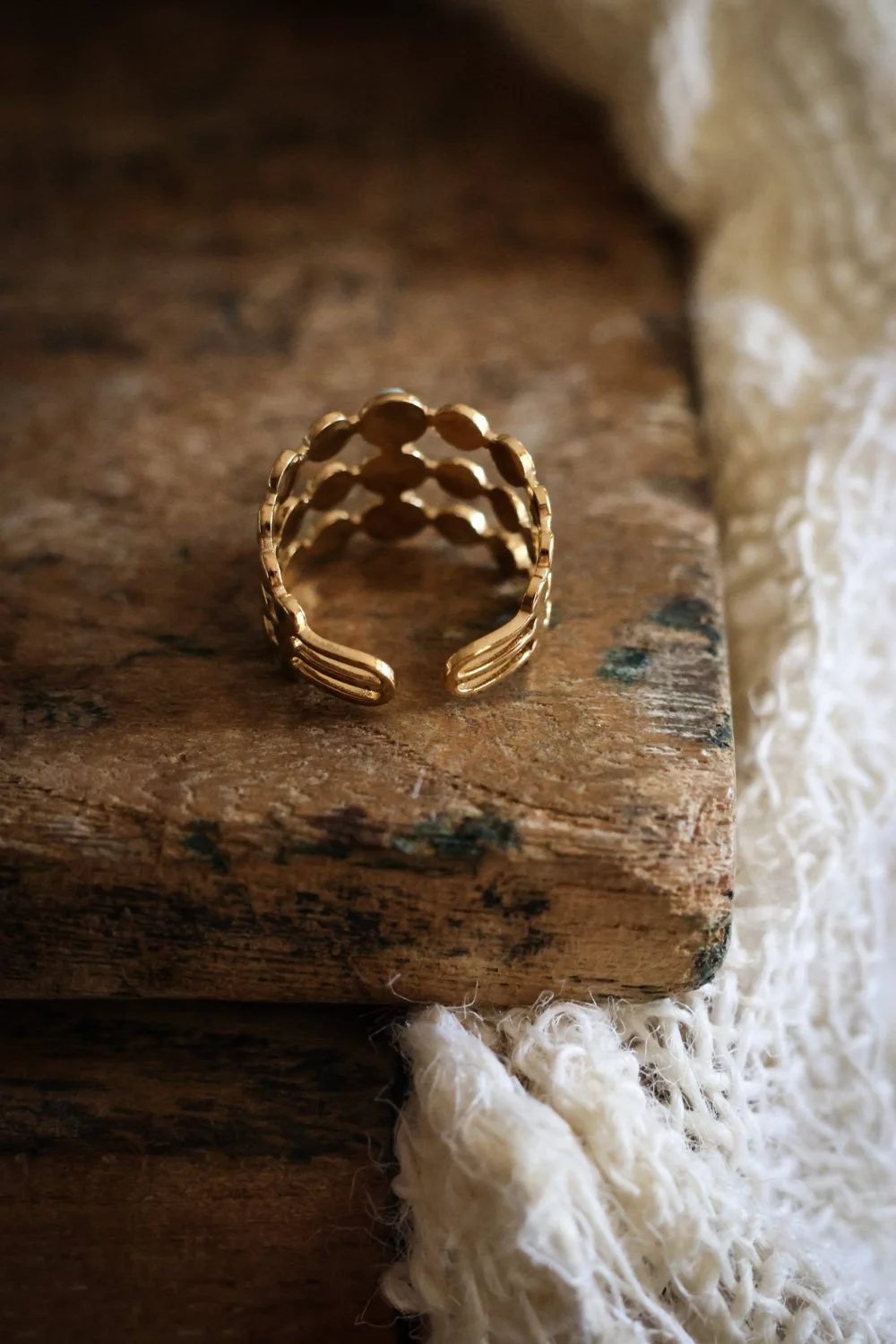 BIJOUX - carnet sauvage-027.jpg