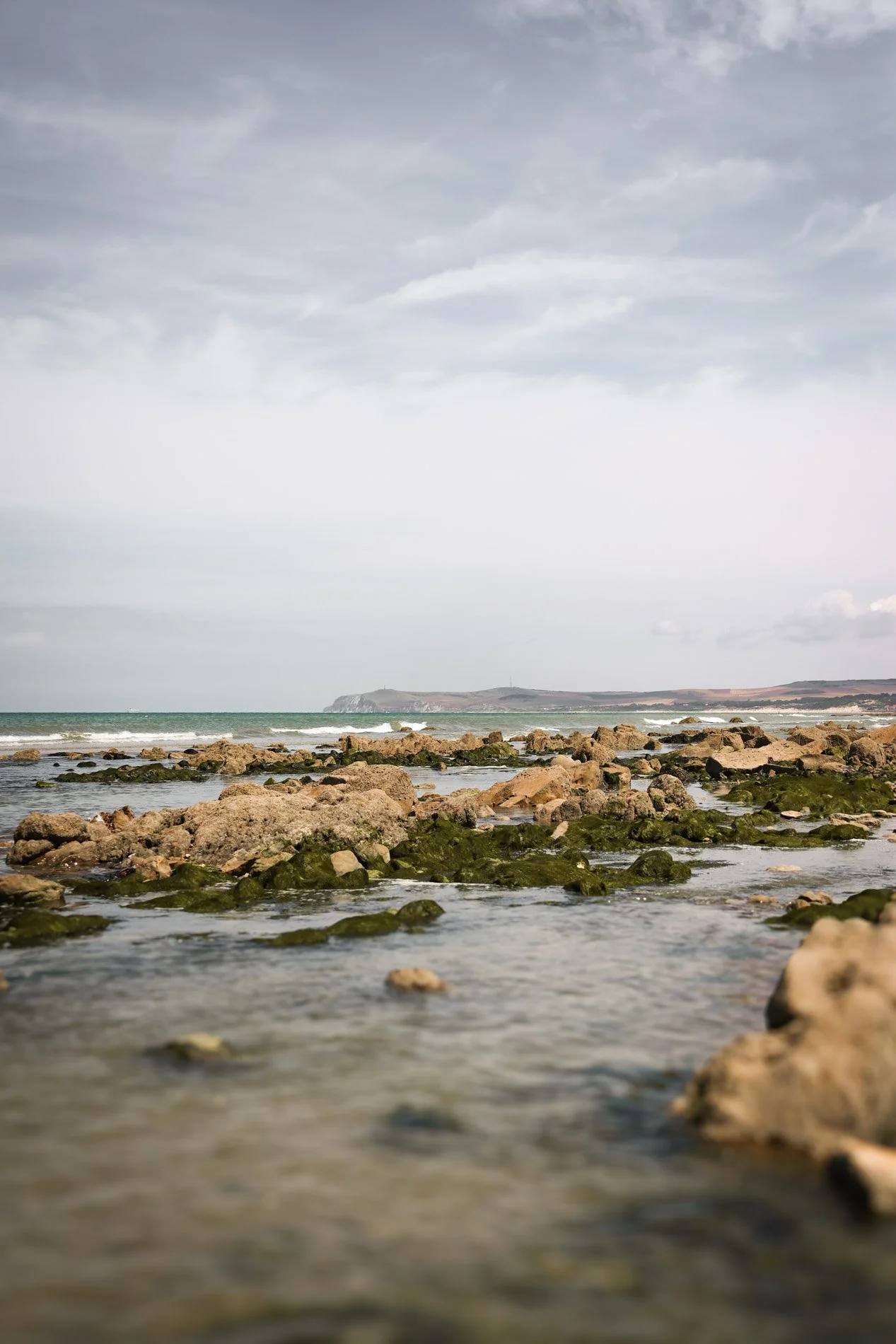 COTE OPALE - carnet sauvage-19.jpg