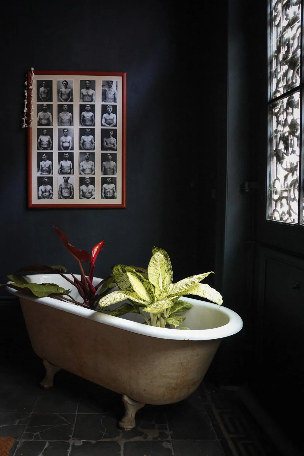 ENTREE MAISON CARNET SAUVAGE-5.JPG