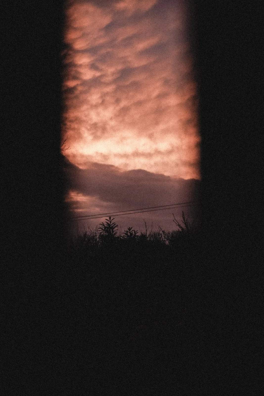 CIEL - carnet sauvage-11.JPG