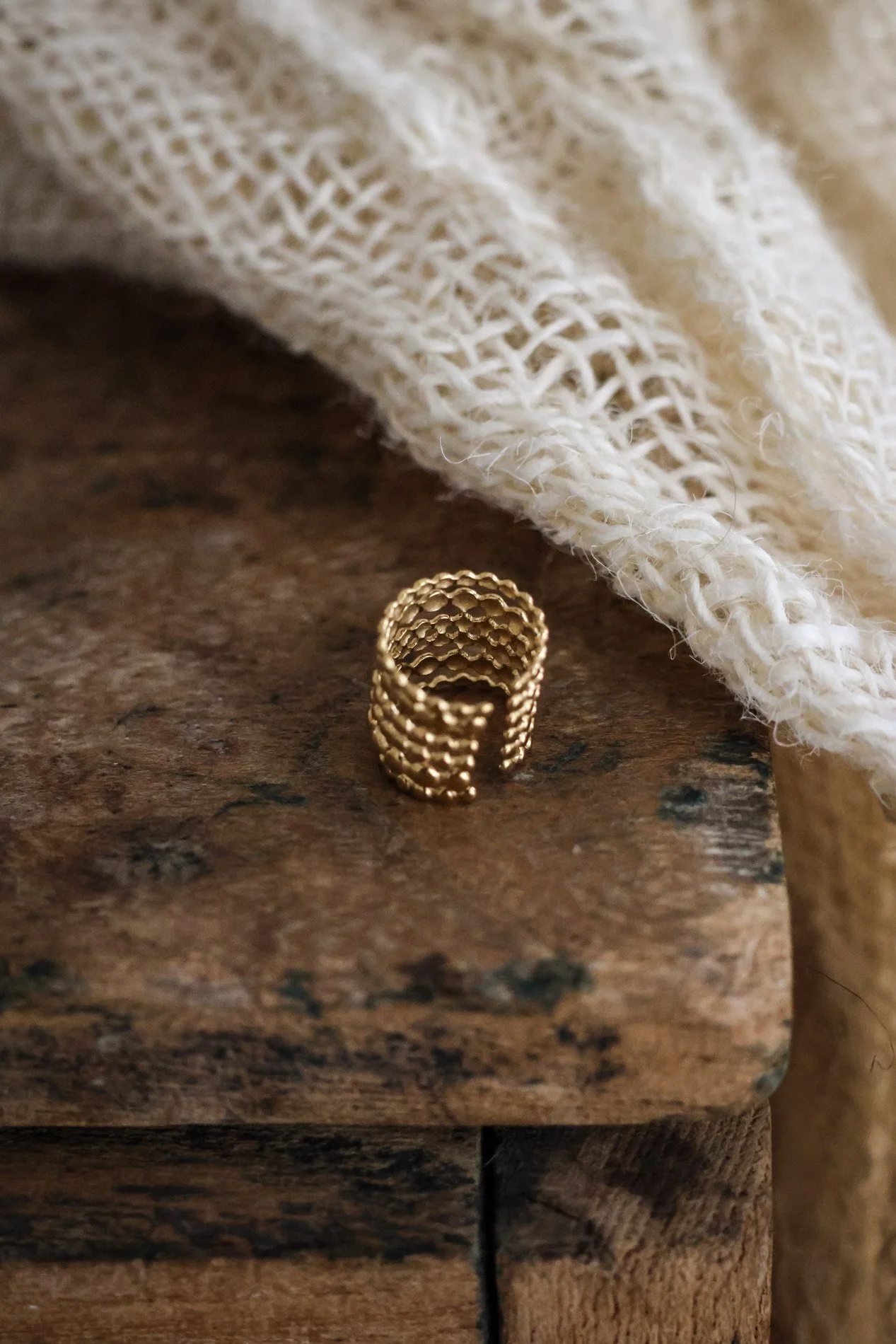 BIJOUX - carnet sauvage-17.jpg