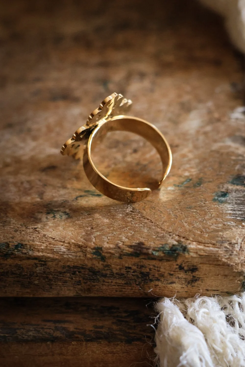 BIJOUX - carnet sauvage-059.jpg