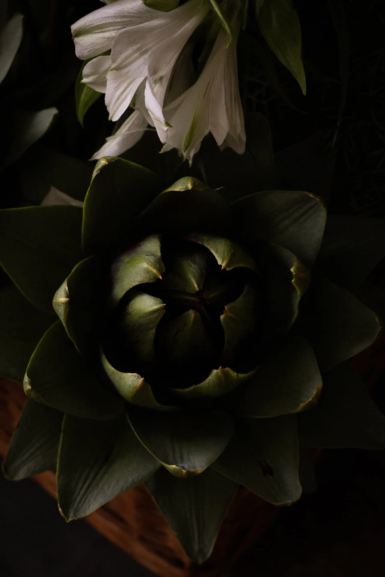 COMPO FLORALE CARNET SAUVAGE-3.JPG