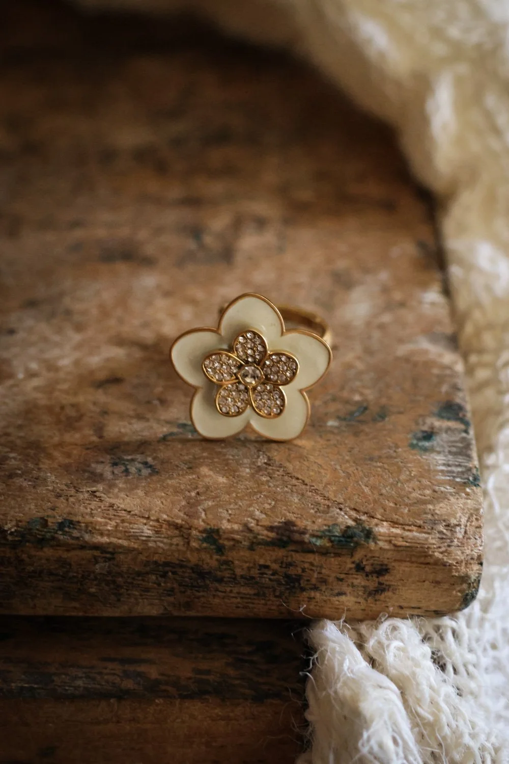 BIJOUX - carnet sauvage-045.jpg