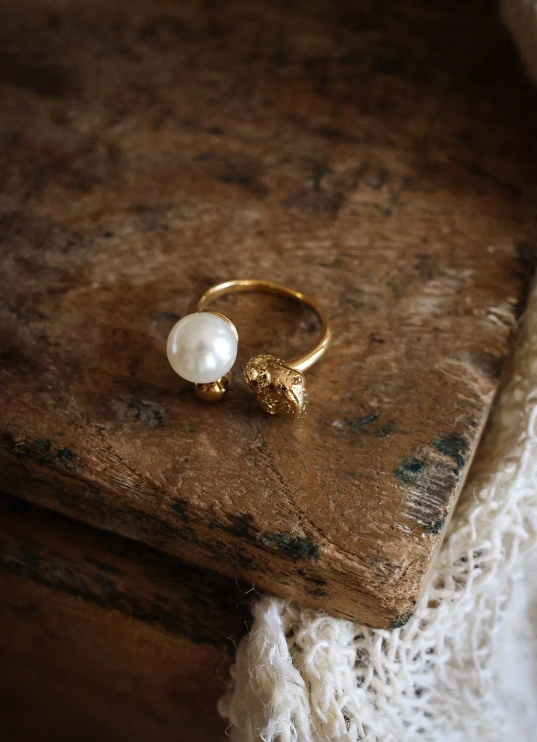 BIJOUX - carnet sauvage-035.jpg