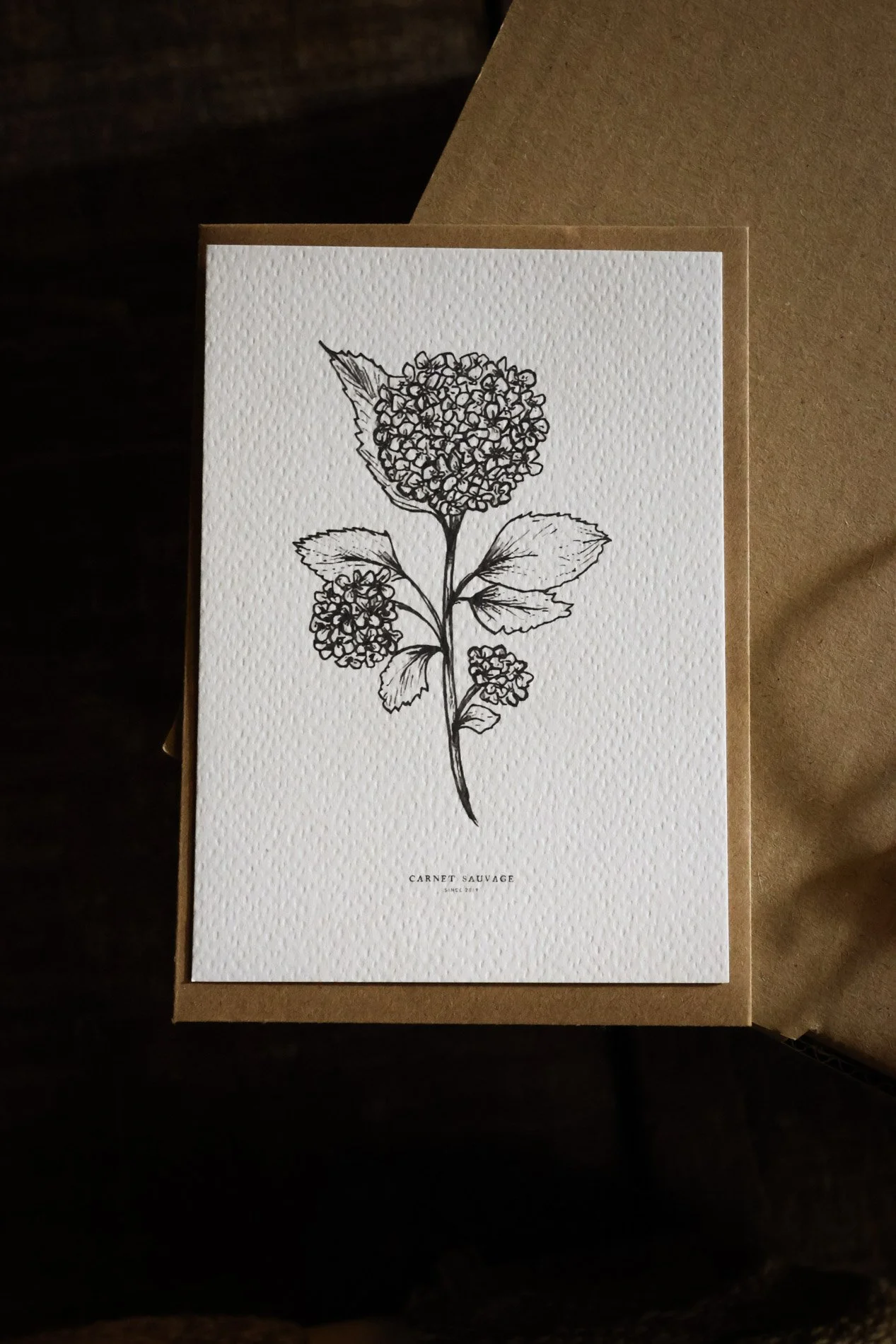 idees cadeaux  -  carnet sauvage-199.jpg