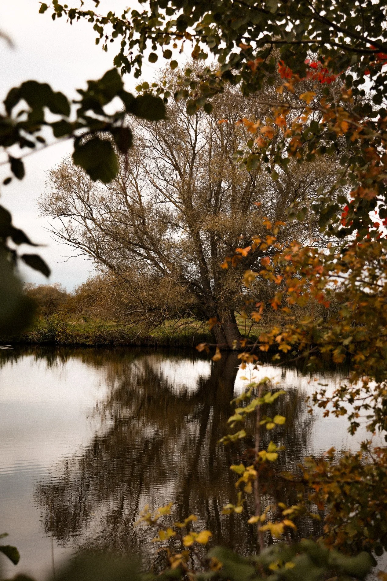 carnet sauvage-29.jpg