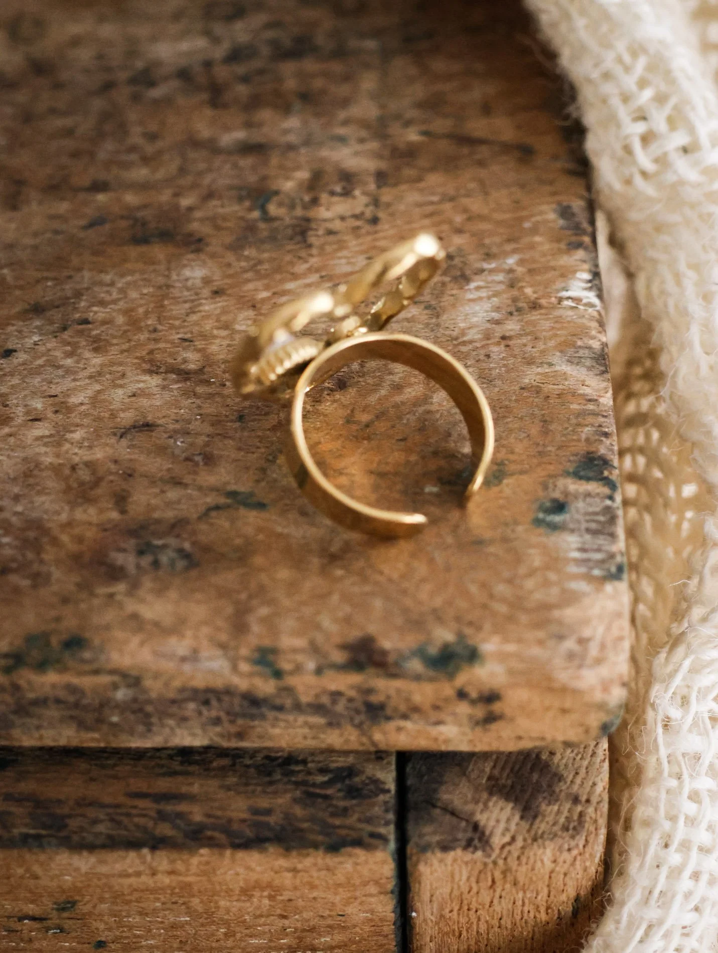 BIJOUX - carnet sauvage-62.jpg