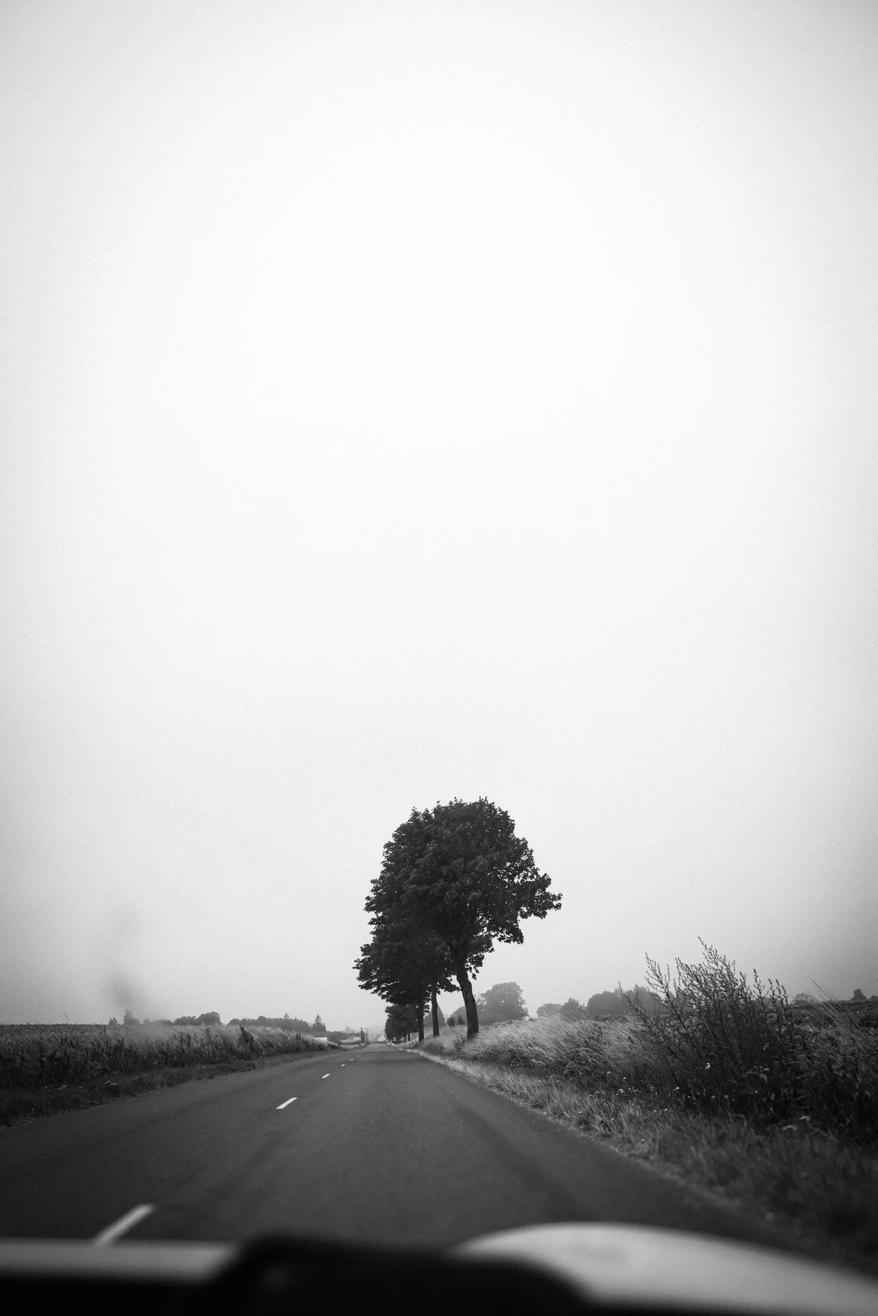nature  - carnet sauvage-6.jpg