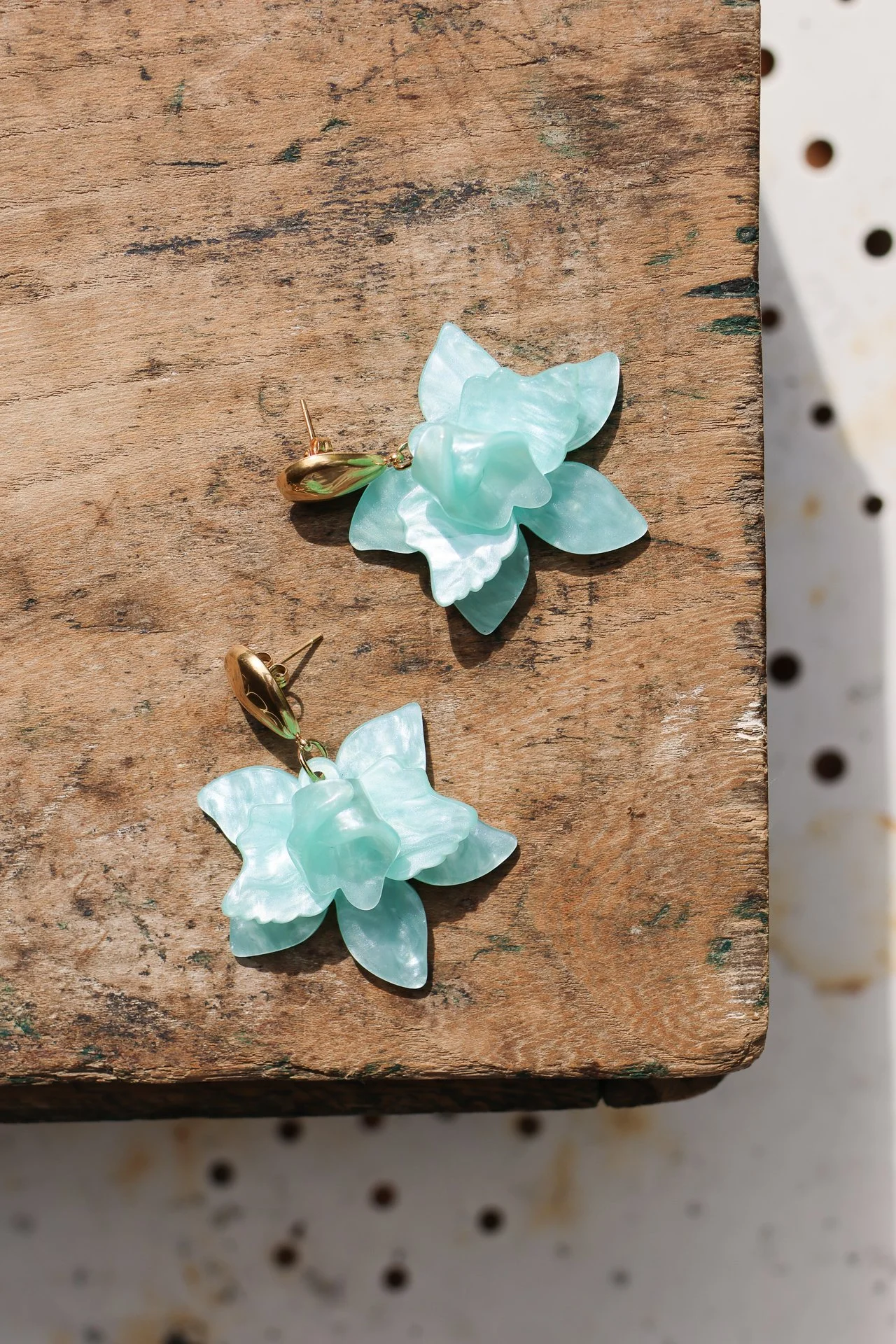 BIJOUX CARNET SAUVAGE-023.jpg